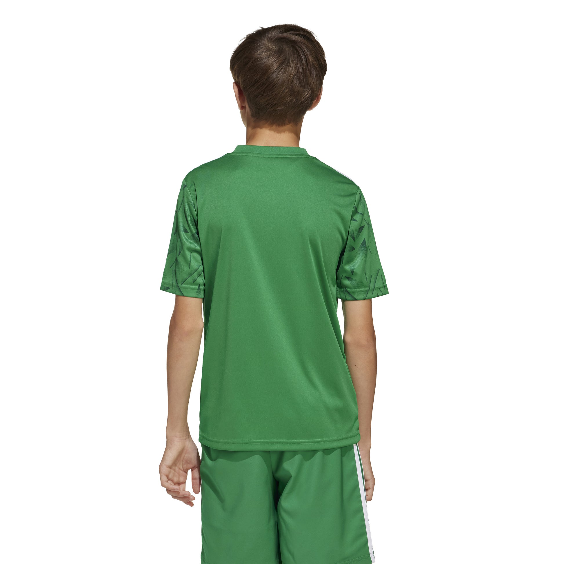 Adidas Junior Team Icon 25 SS Shirt Team Green/White