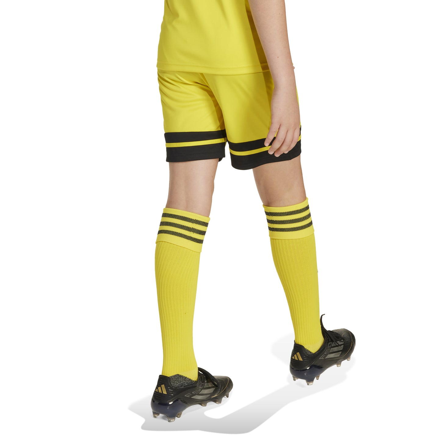 Adidas Squadra 25 Shorts - Team Yellow/Black