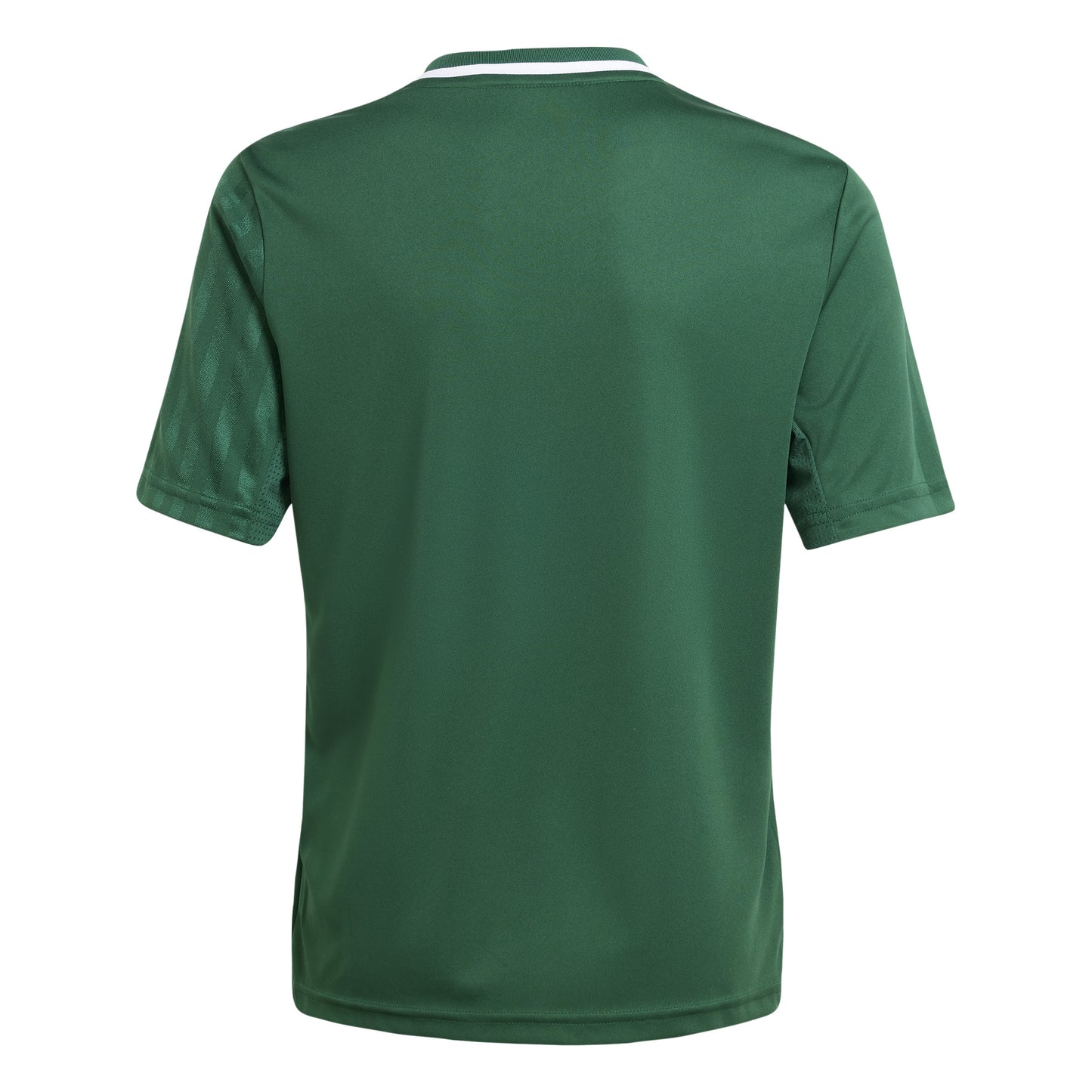Adidas Junior Campeon 25 SS Shirt Team Dark Green/White