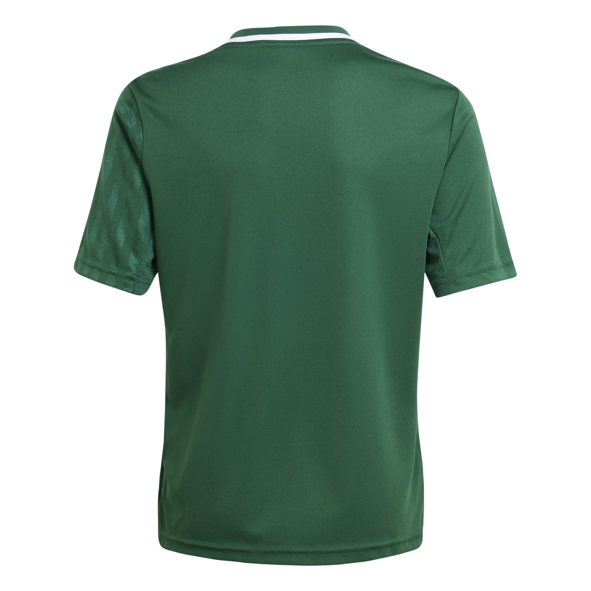 Adidas Junior Campeon 25 SS Shirt Team Dark Green/White