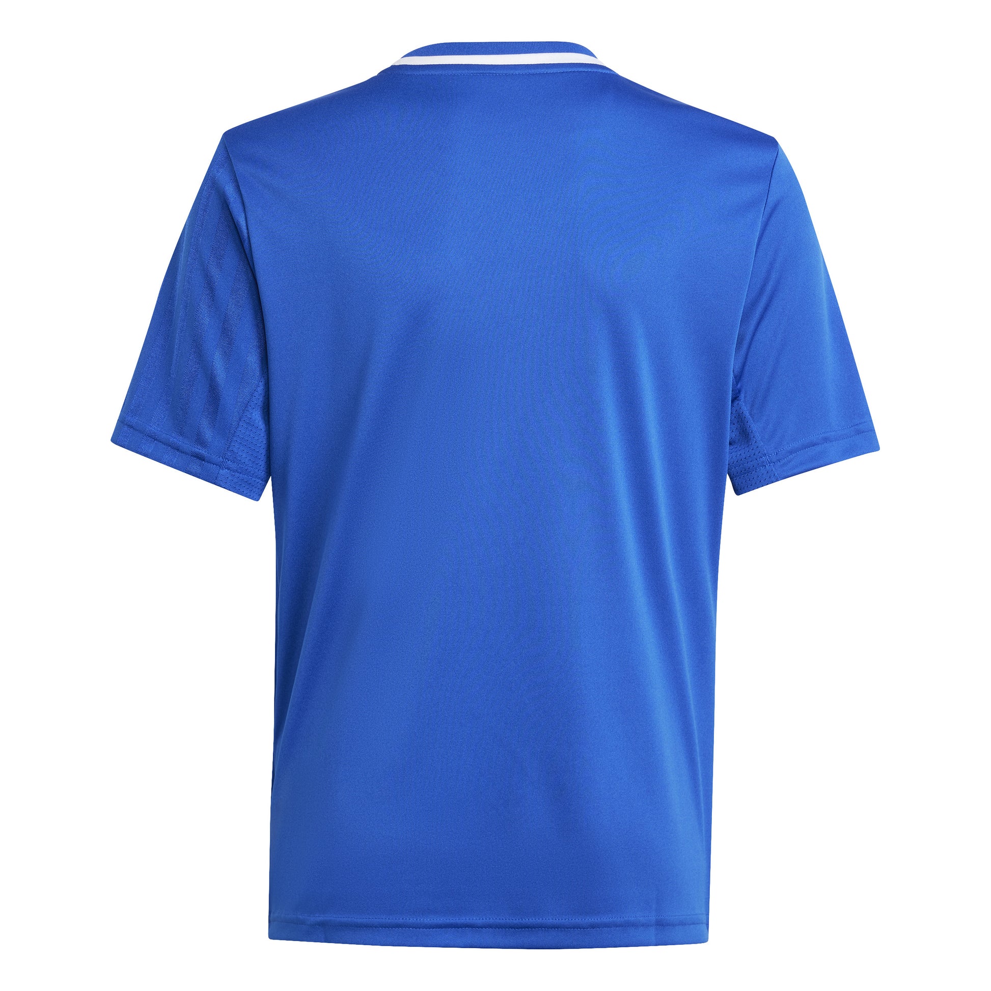 Adidas Junior Campeon 25 SS Shirt Team Royal Blue/White