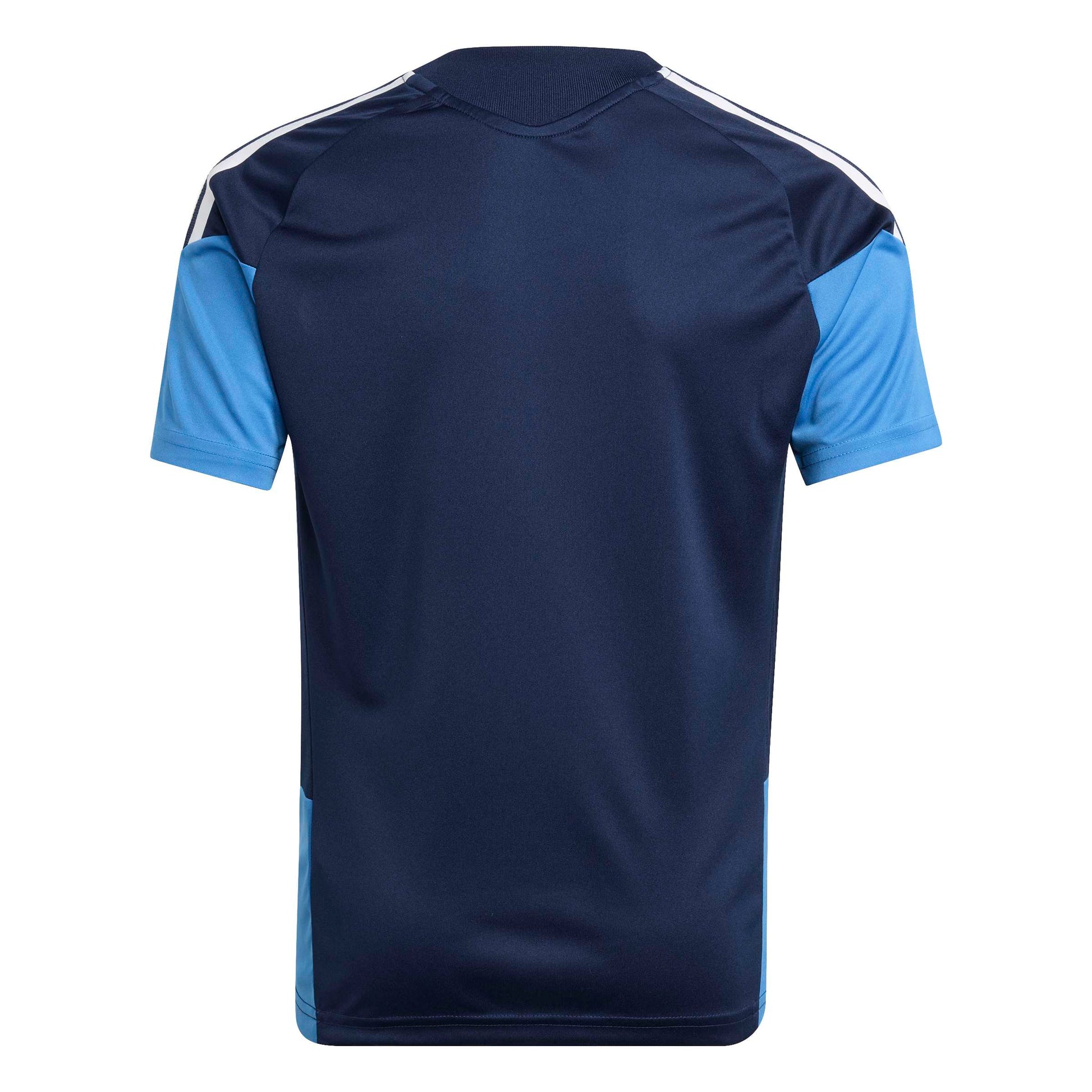 Team Navy Blue 2/Ray Blue