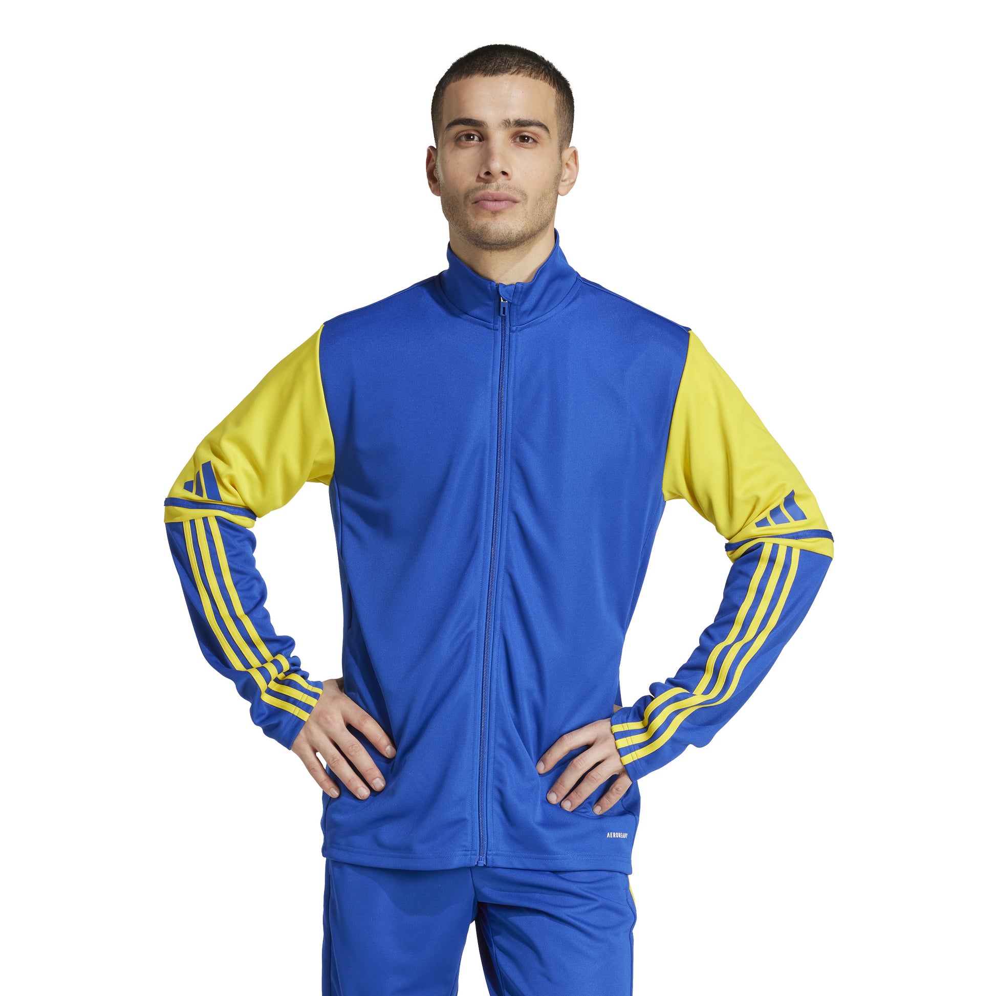 Adidas Squadra 25 Training Jacket - Team Royal Blue/Team Yellow