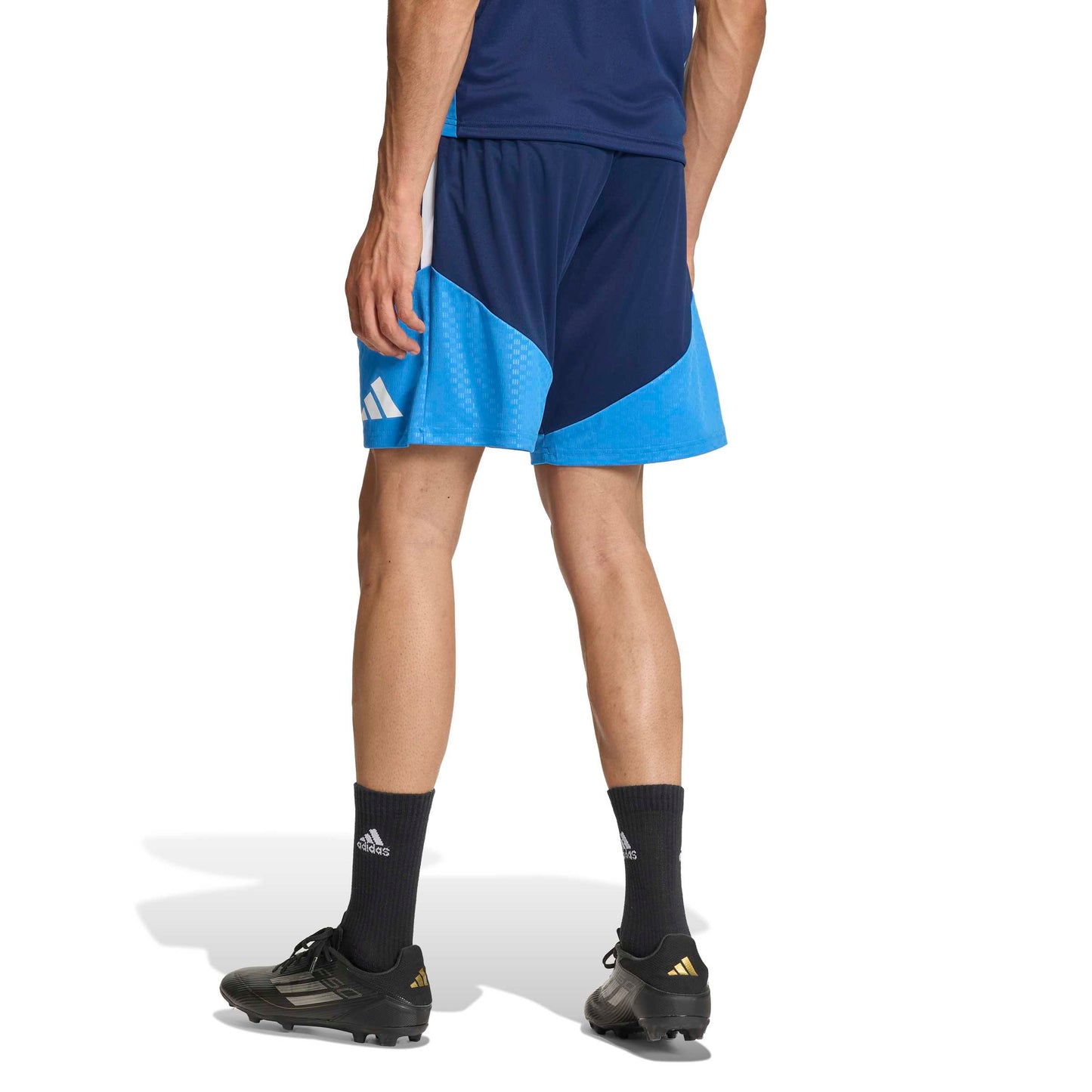 Team Navy Blue 2/Ray Blue