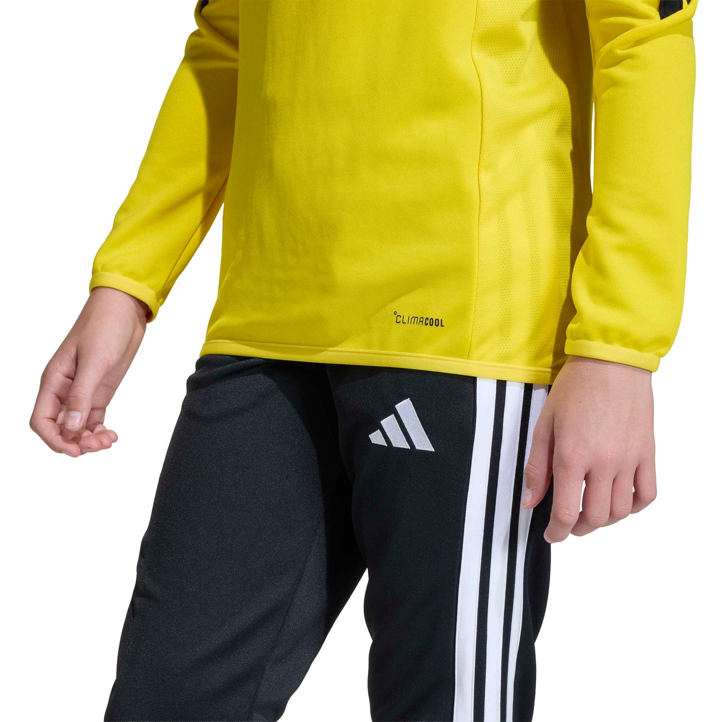 Team Yellow/Black