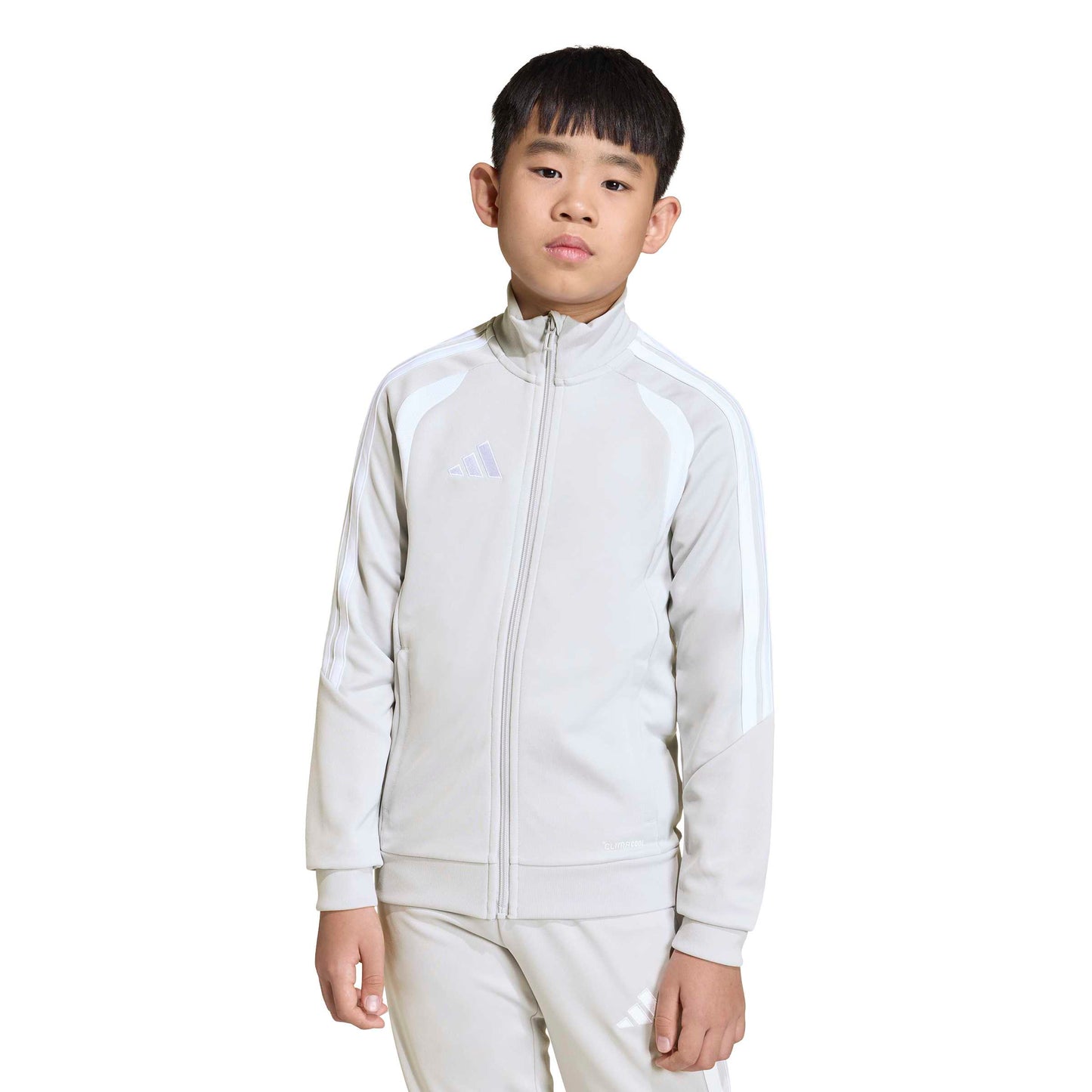 Team Light Grey/White