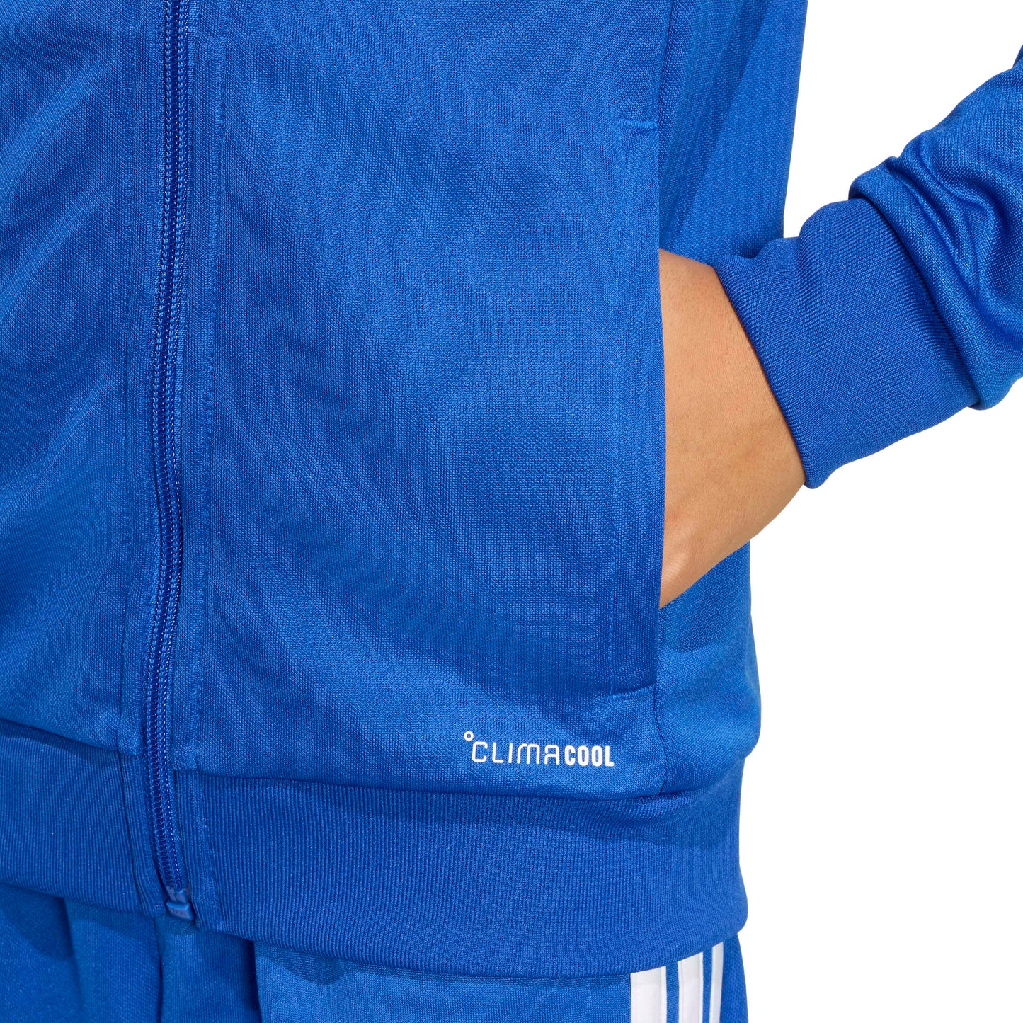 Team Royal Blue/White