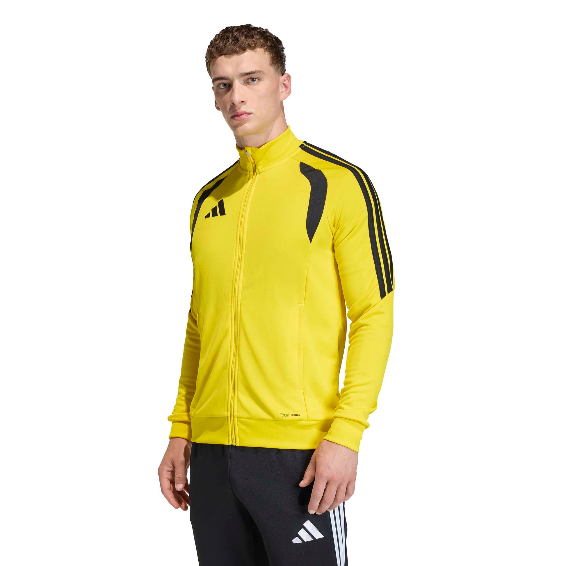Team Yellow/Black