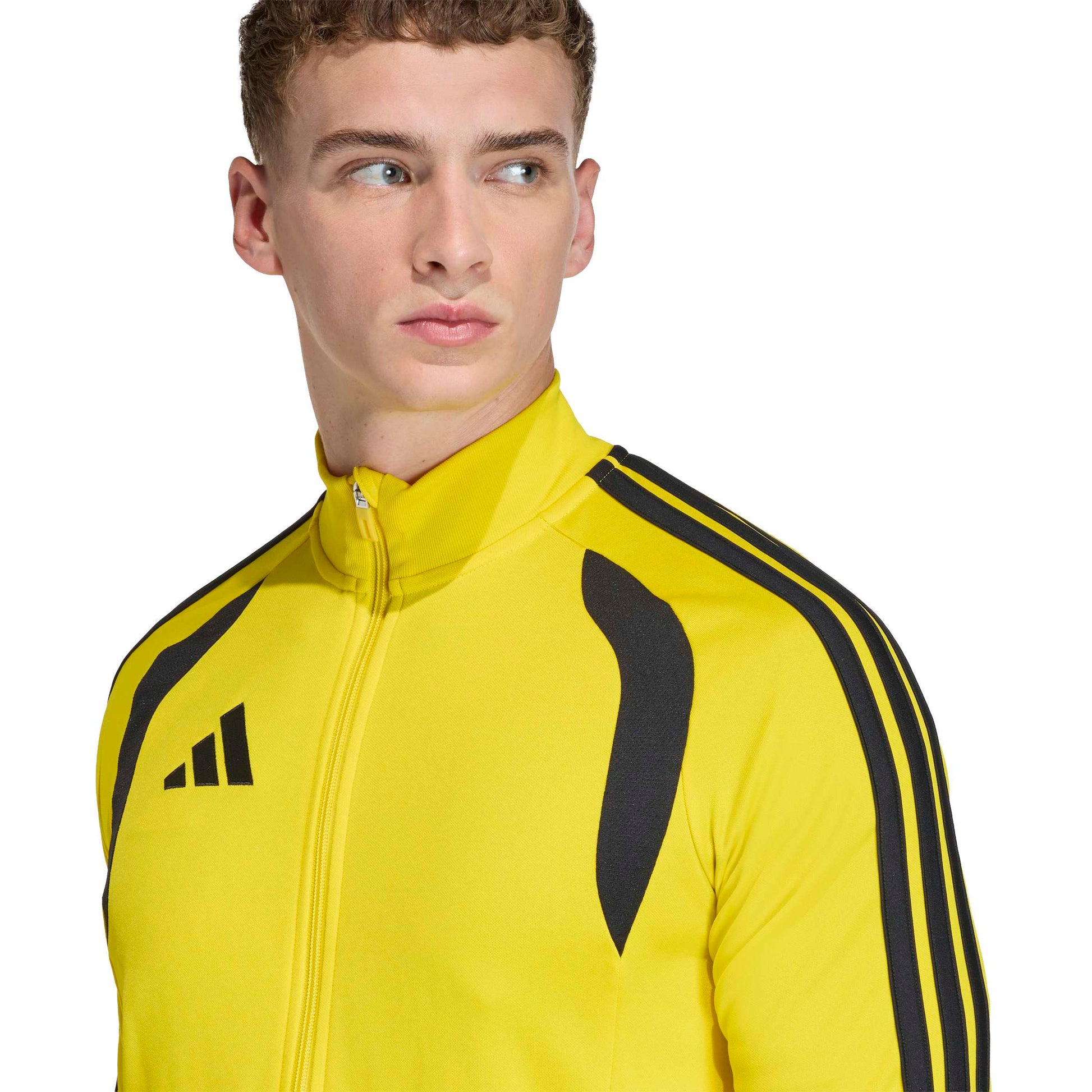 Team Yellow/Black