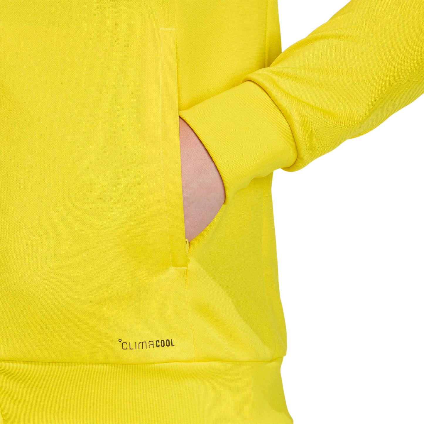 Team Yellow/Black