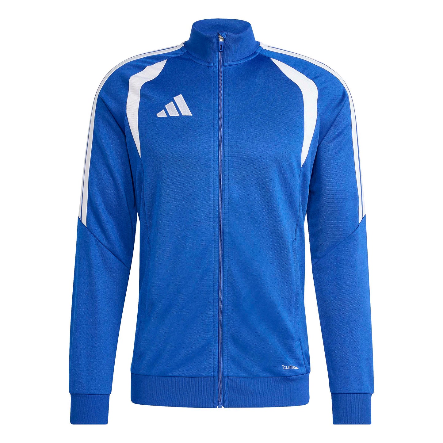 Team Royal Blue/White