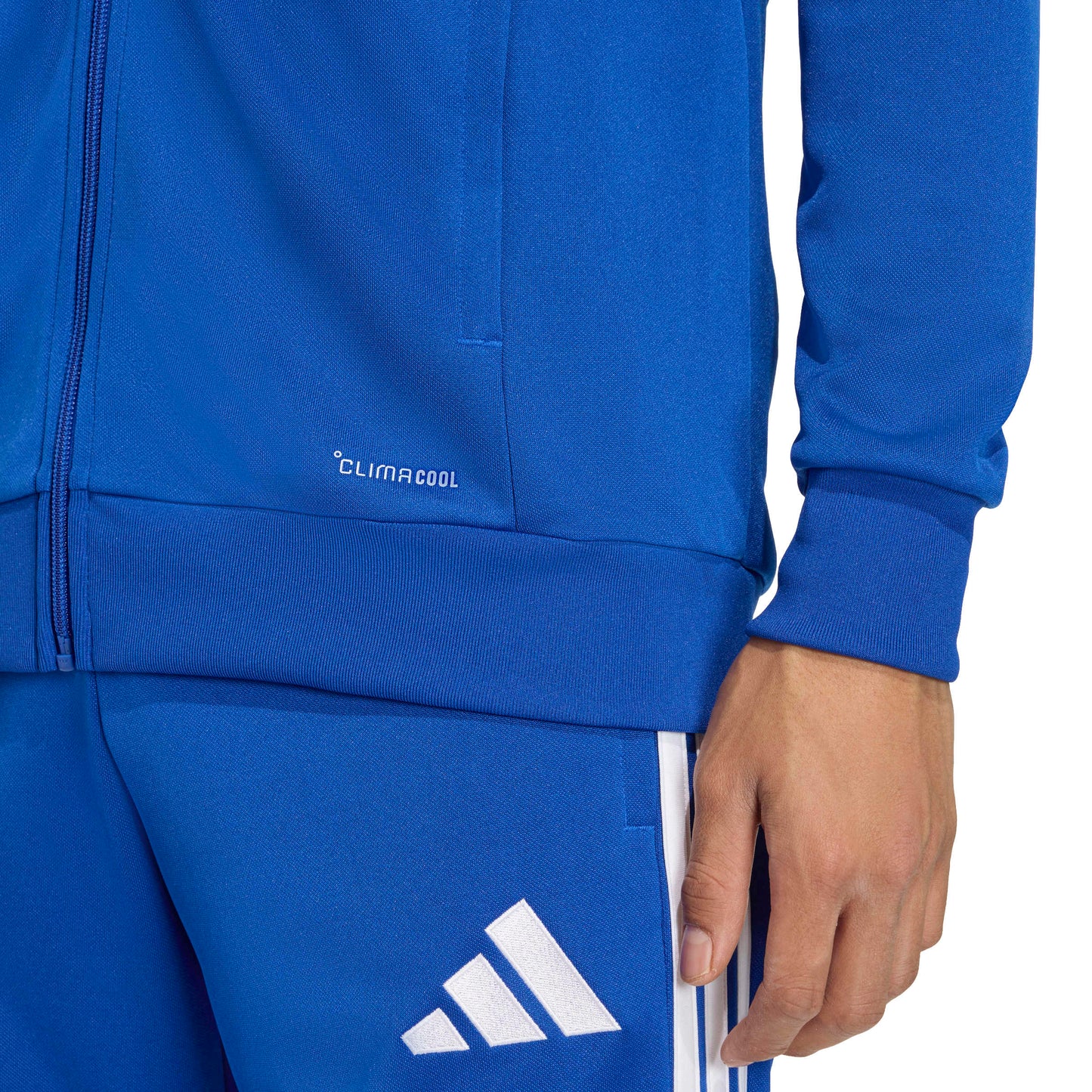 Team Royal Blue/White