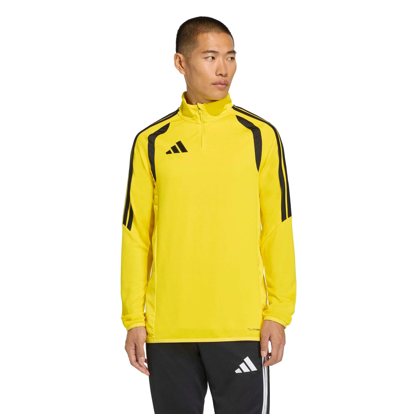 Team Yellow/Black