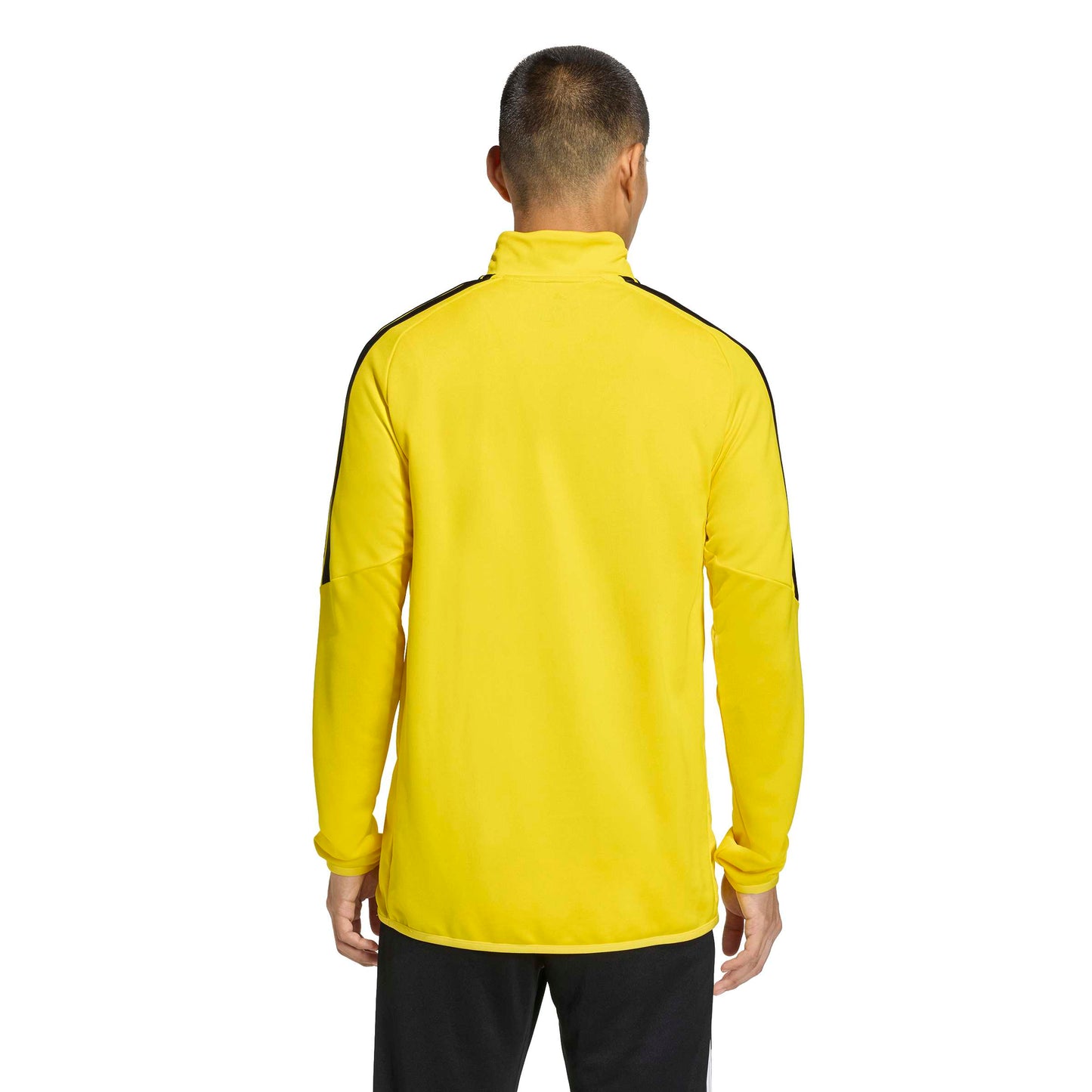 Team Yellow/Black
