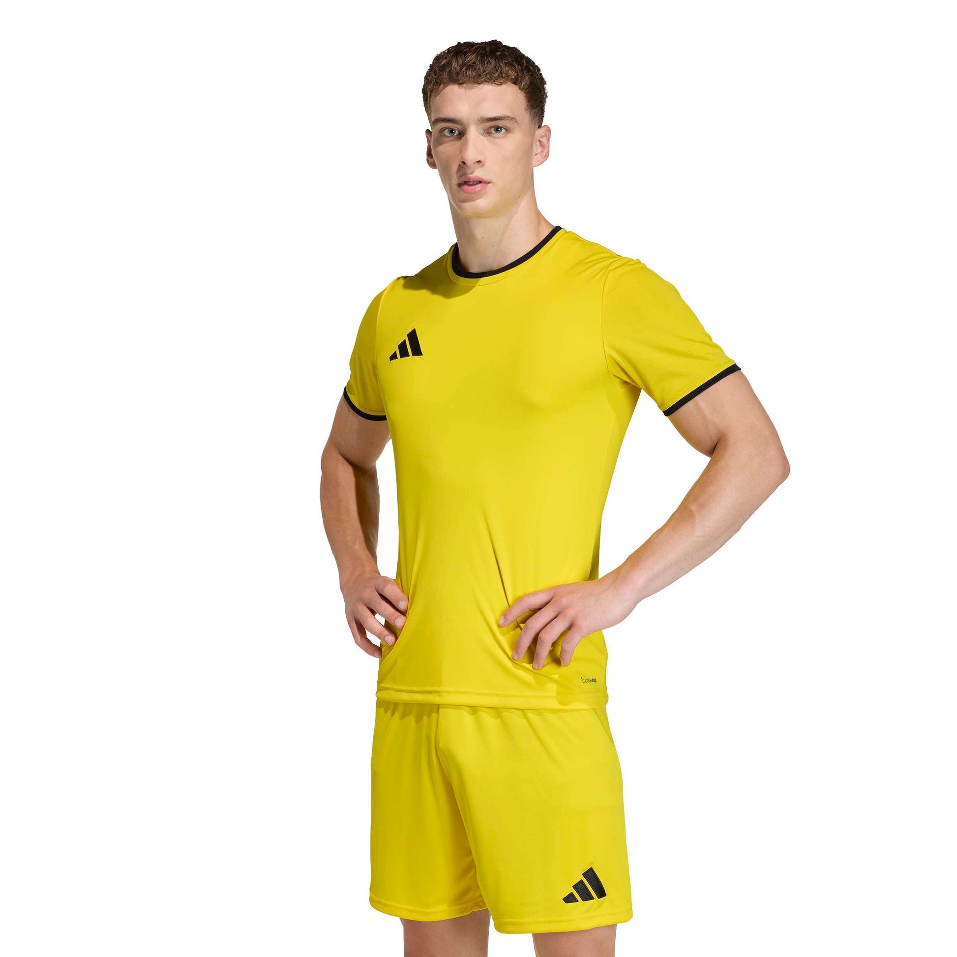 Team Yellow/Black