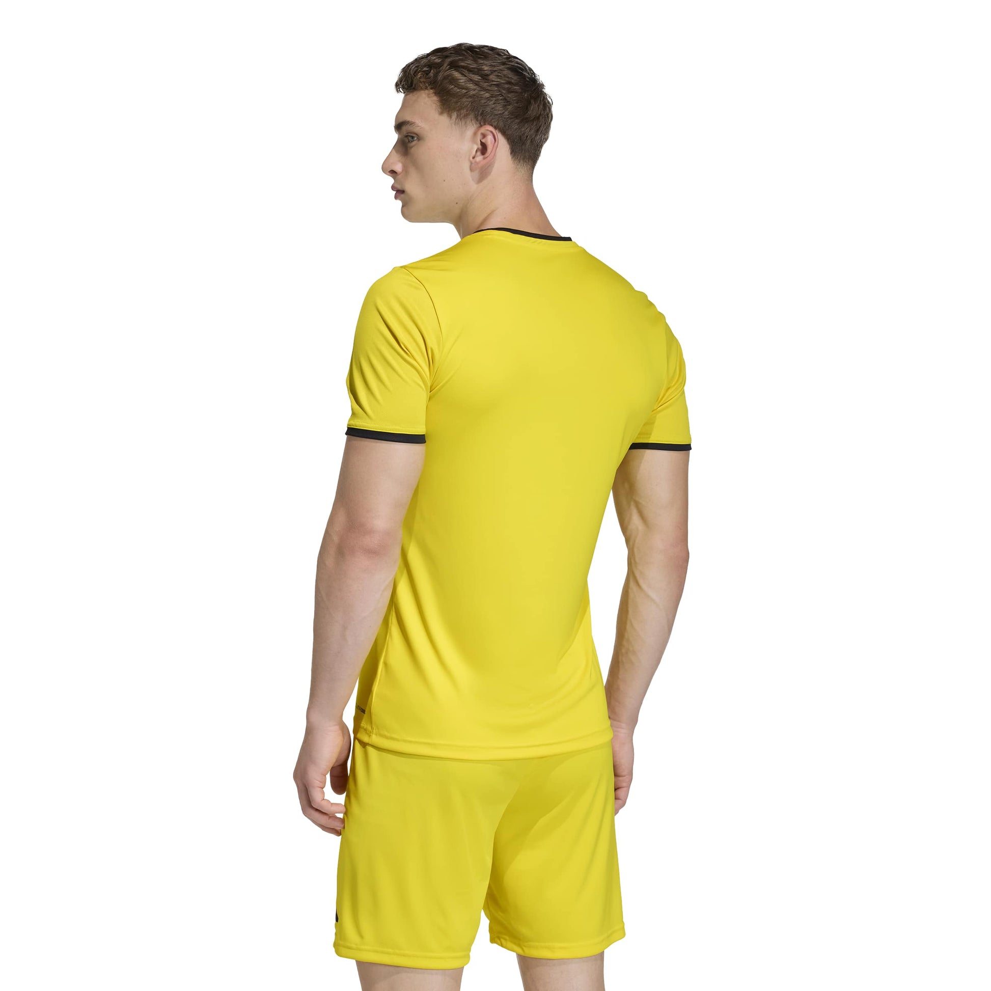 Team Yellow/Black