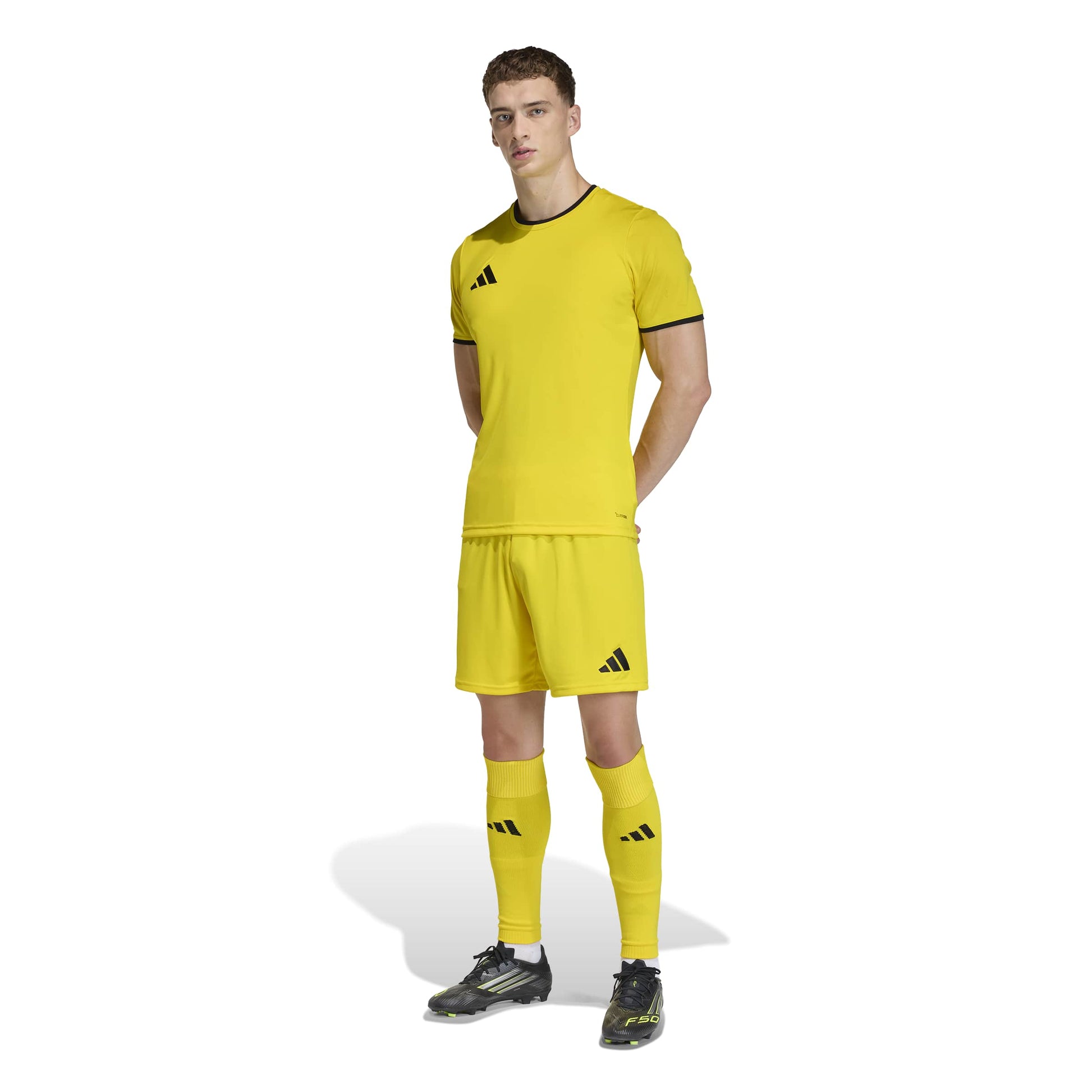 Team Yellow/Black