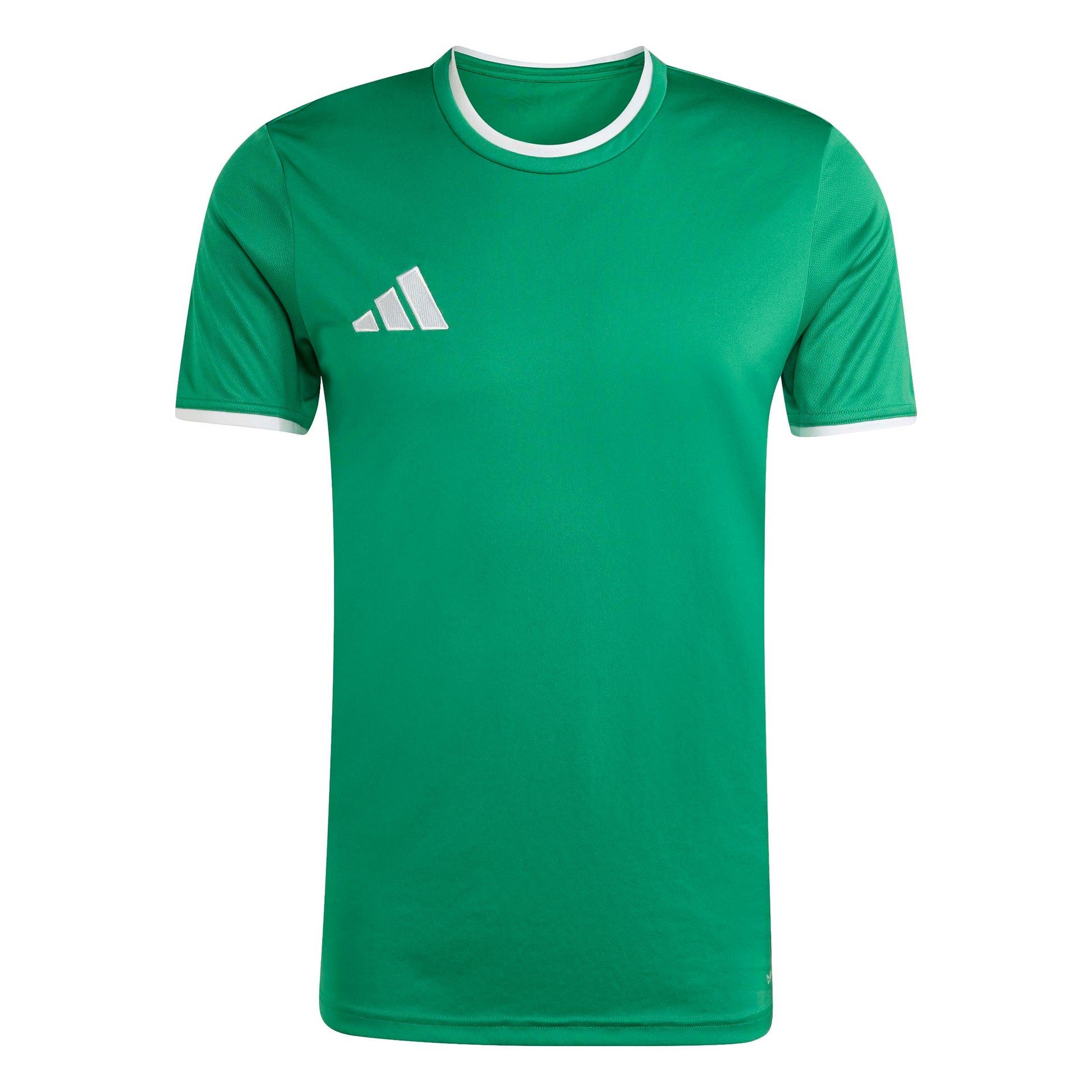 Team Green/White