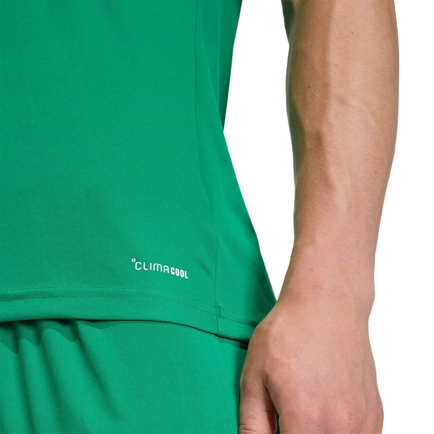 Team Green/White