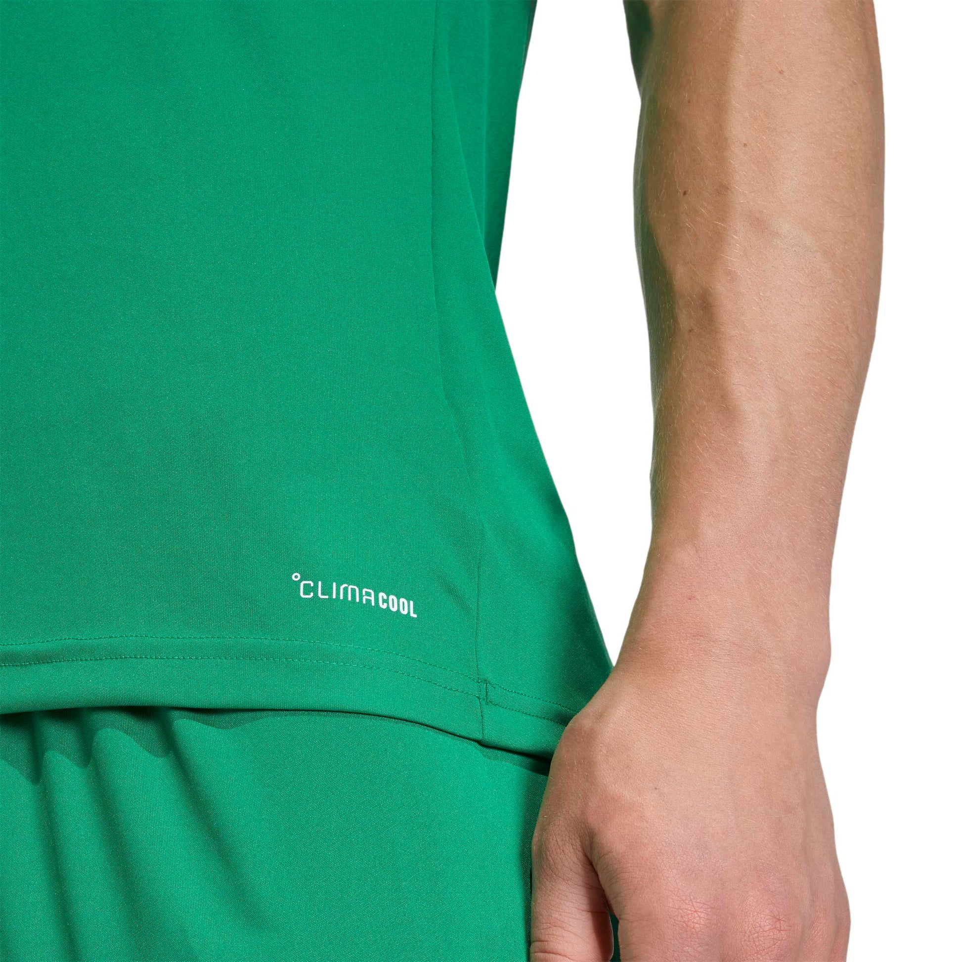 Team Green/White