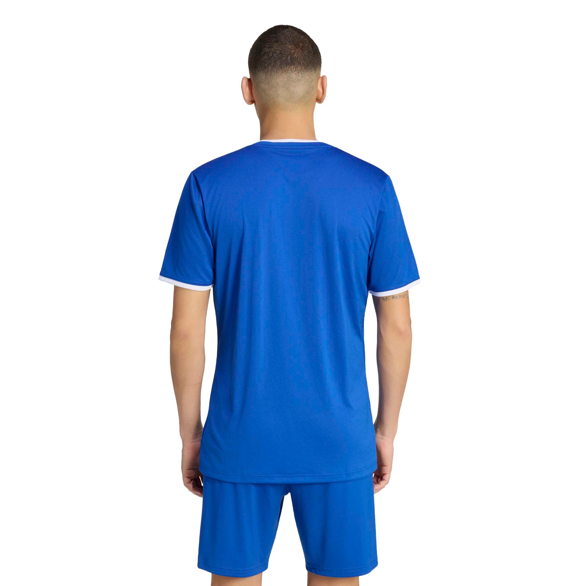 Team Royal Blue/White