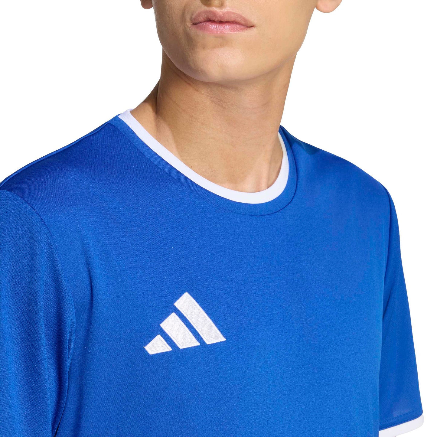 Team Royal Blue/White