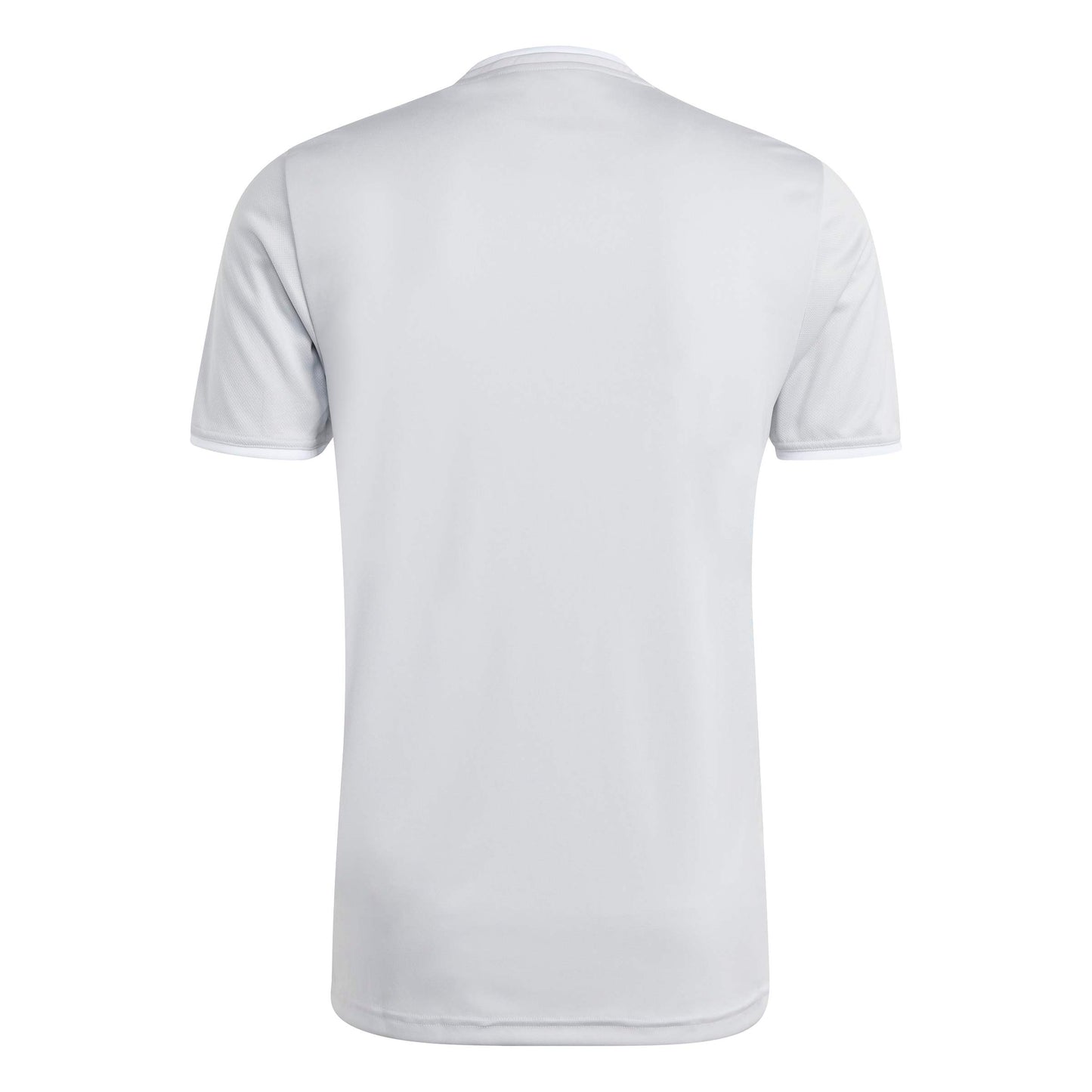 Team Light Grey/White