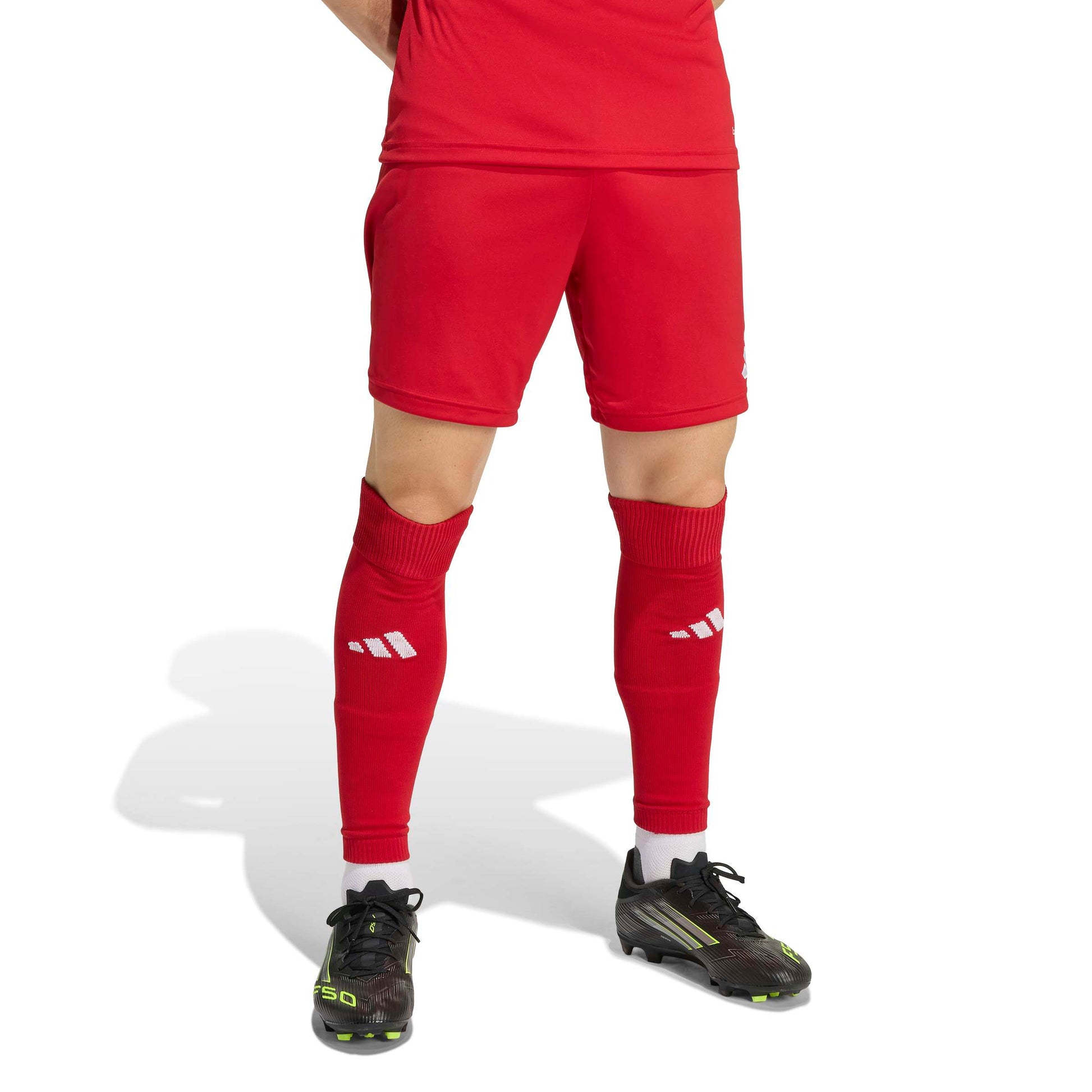 Team Power Red 2/White