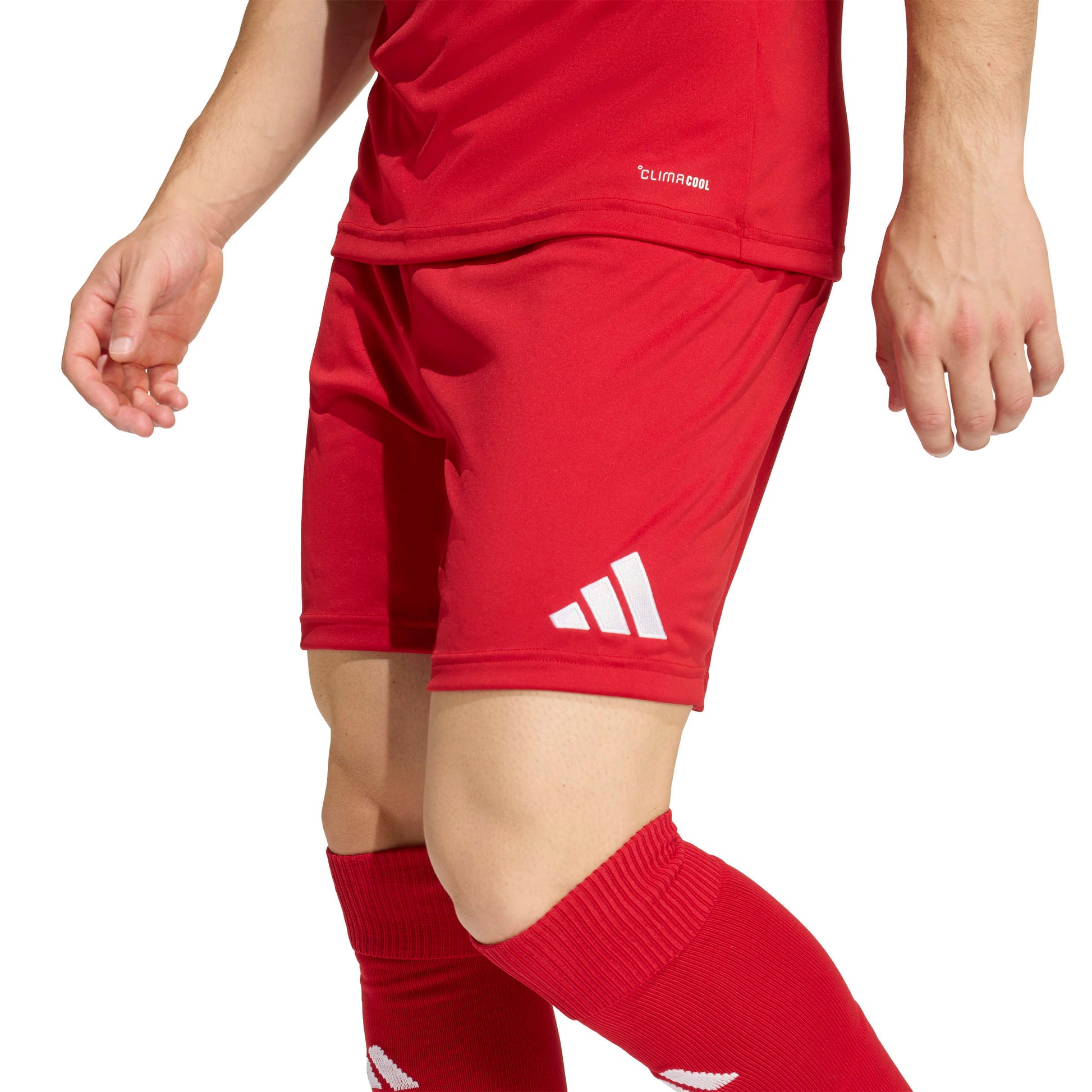 Team Power Red 2/White