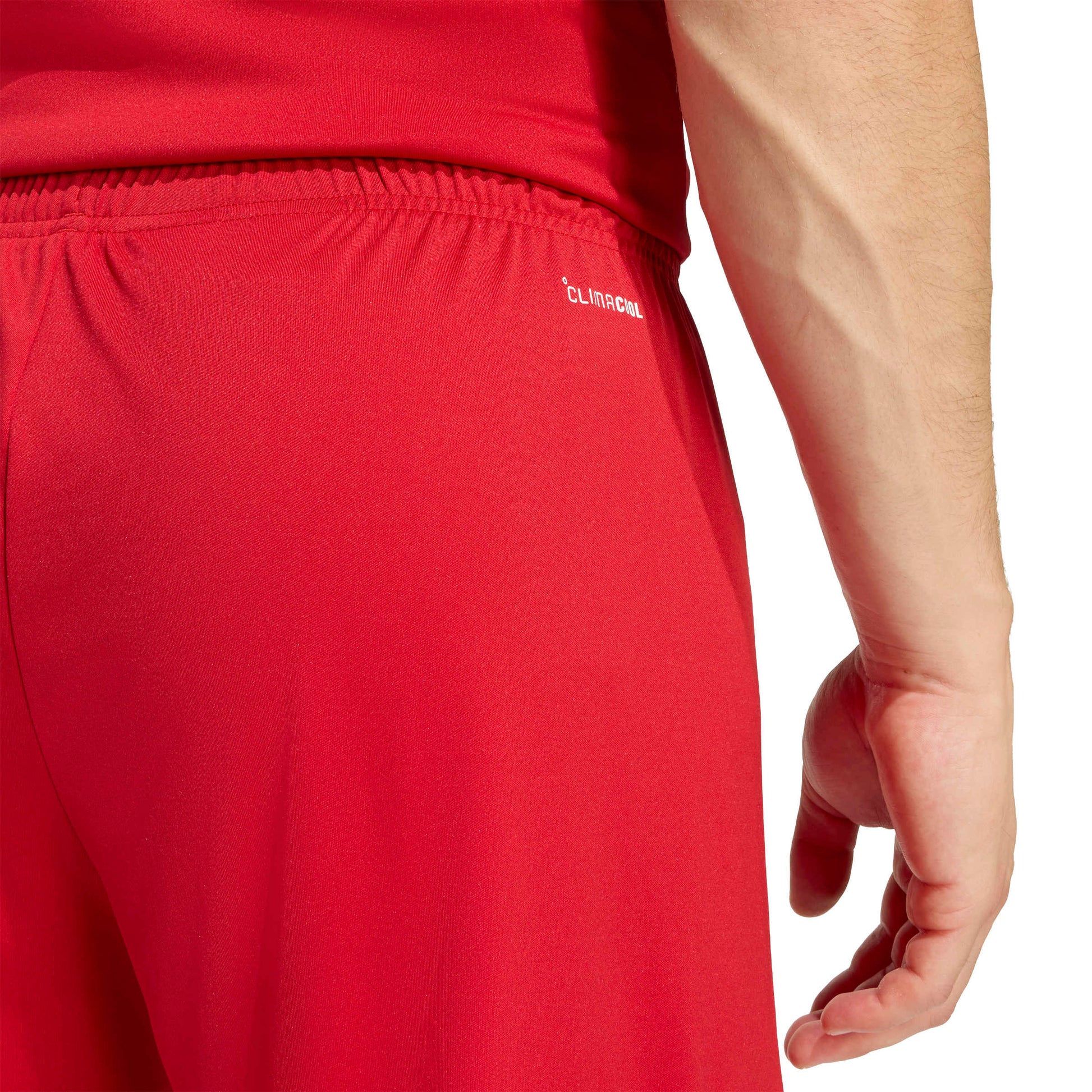 Team Power Red 2/White