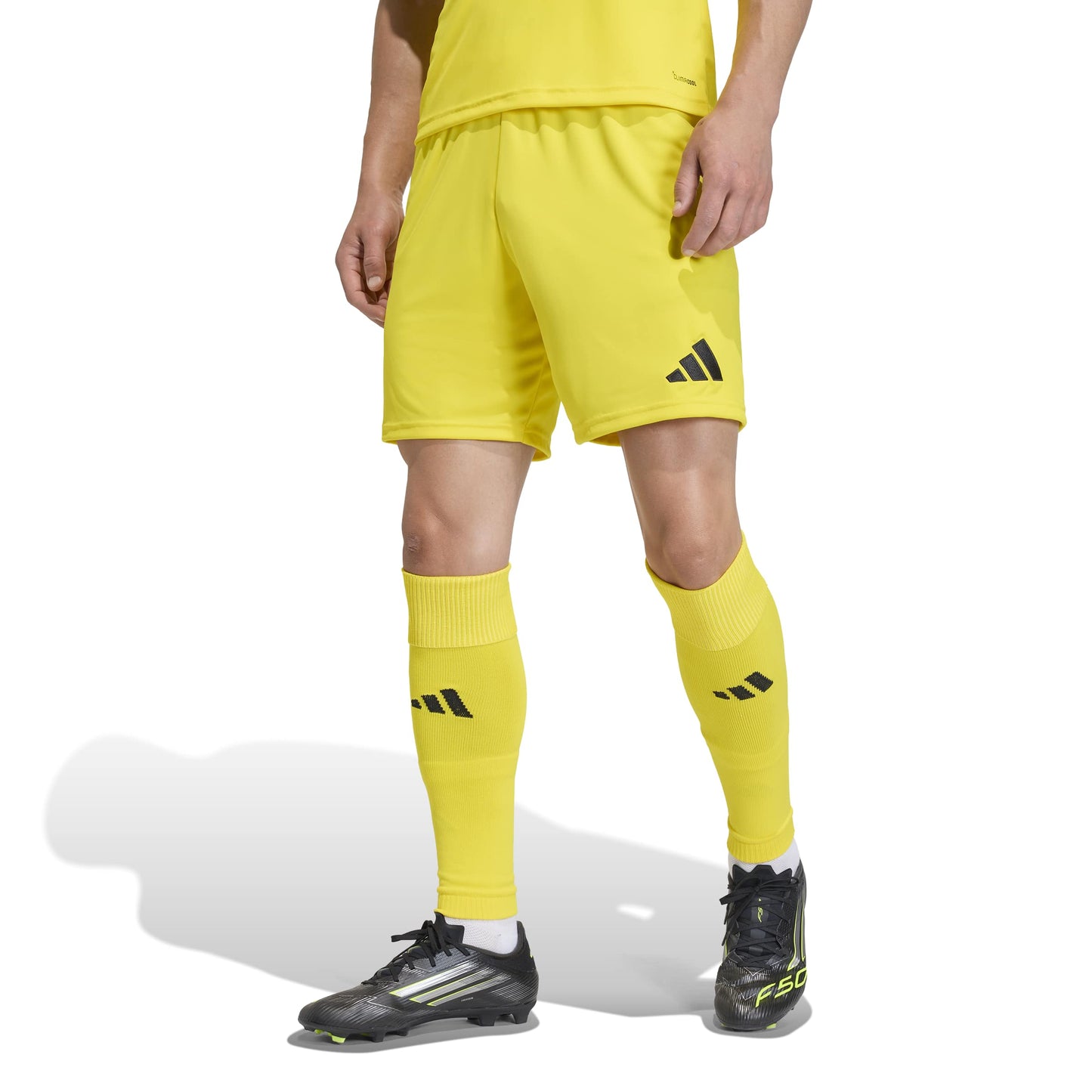 Team Yellow/Black