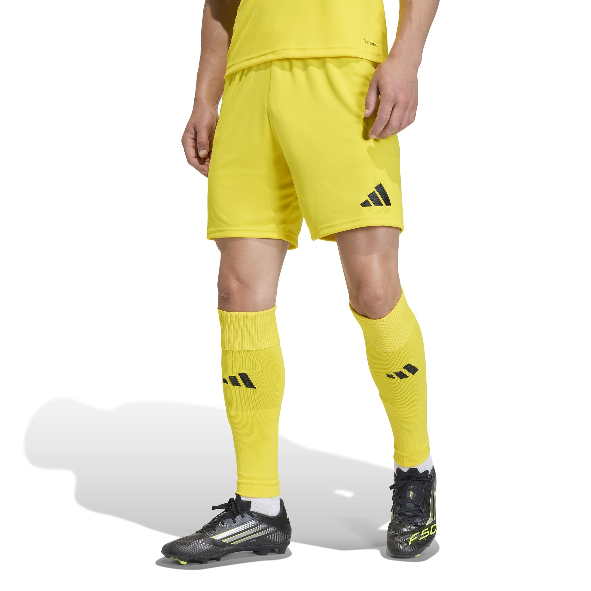 Team Yellow/Black