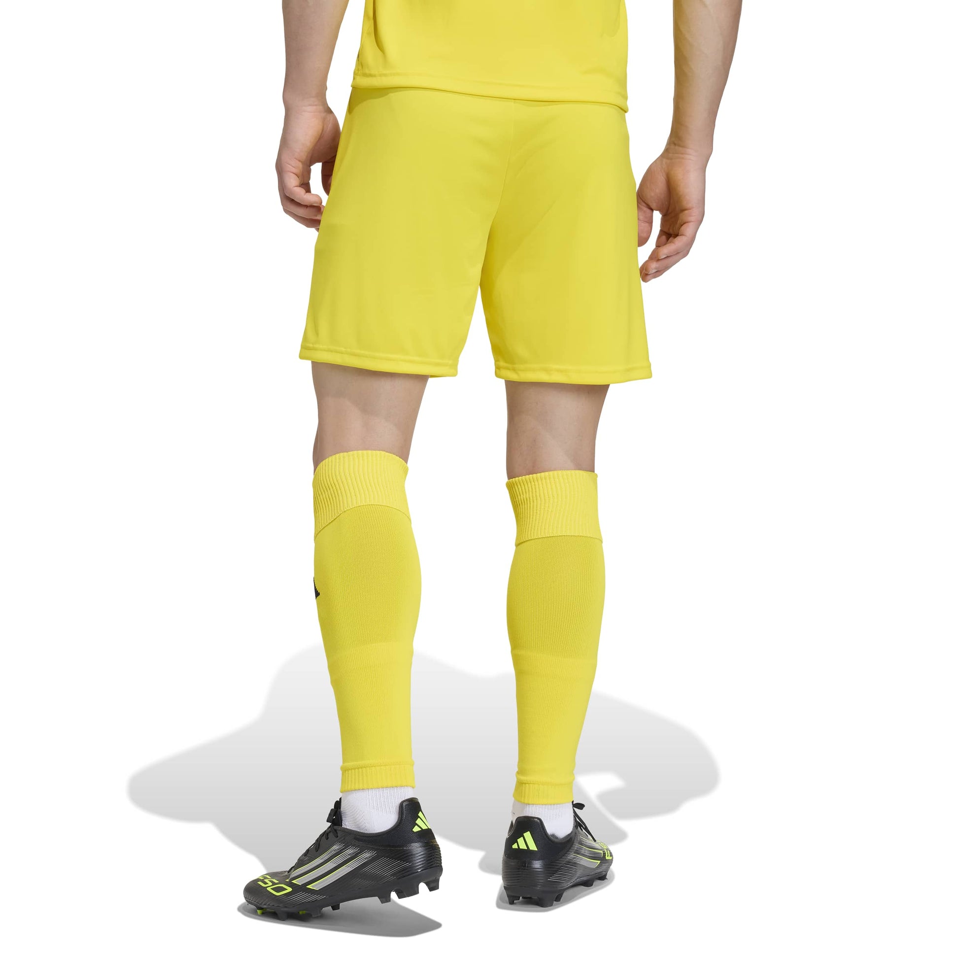 Team Yellow/Black