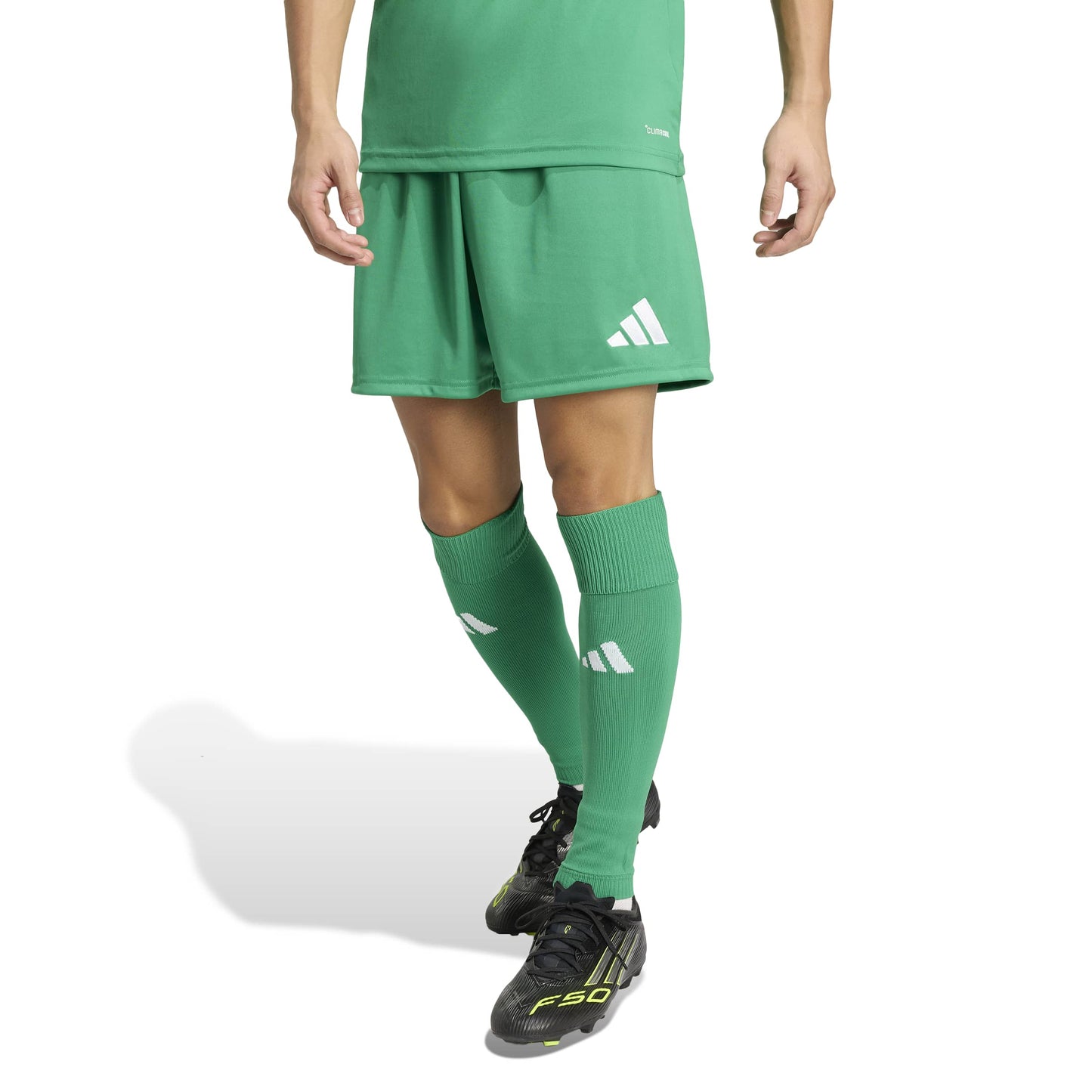 Team Green/White