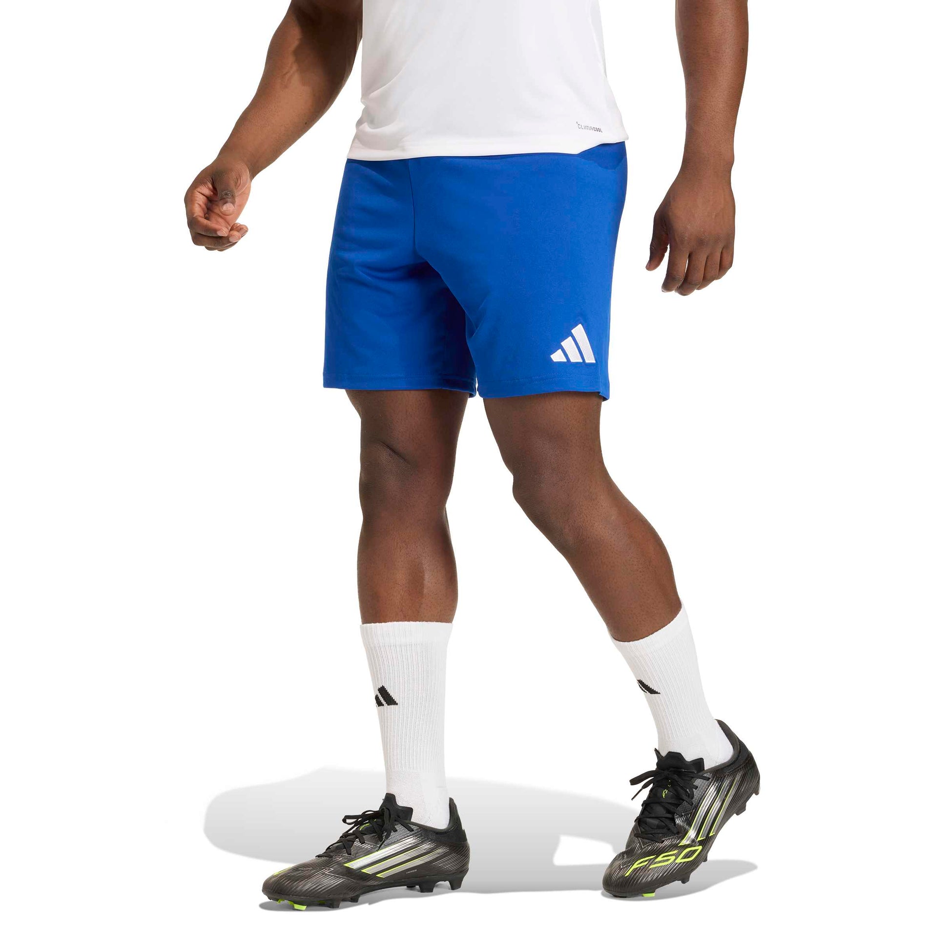 Team Royal Blue/White