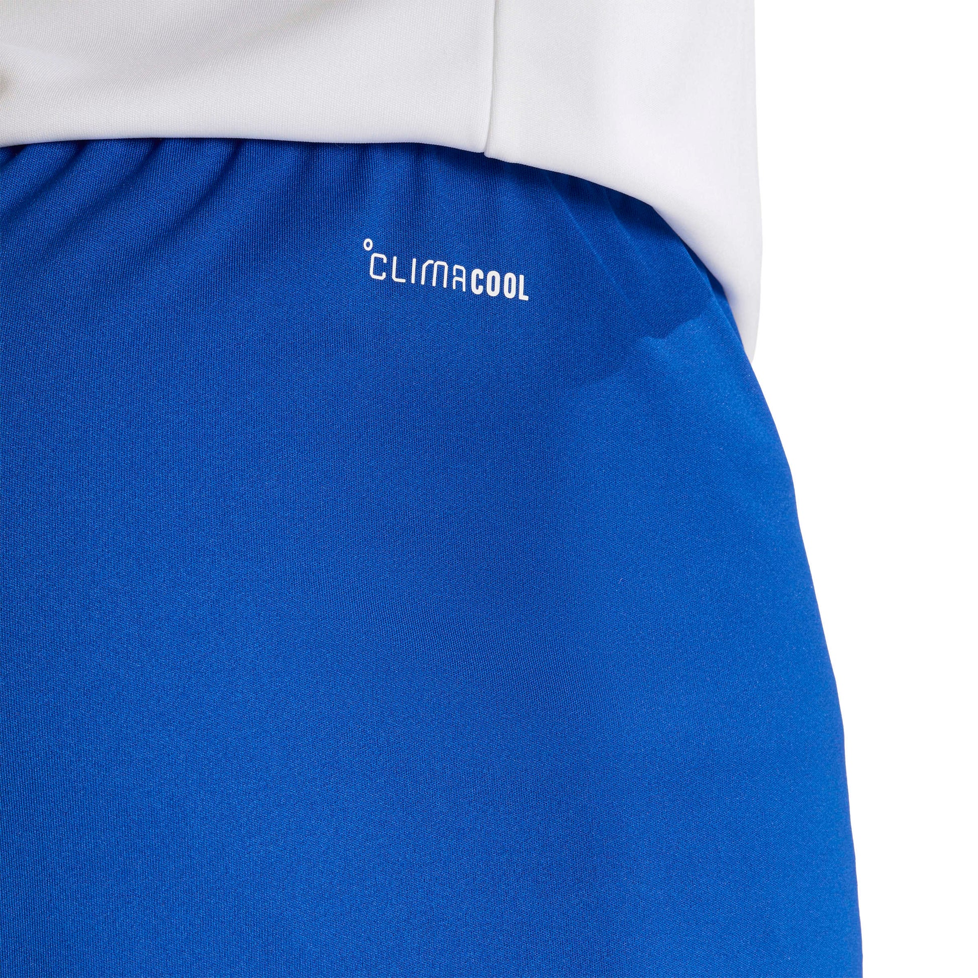 Team Royal Blue/White