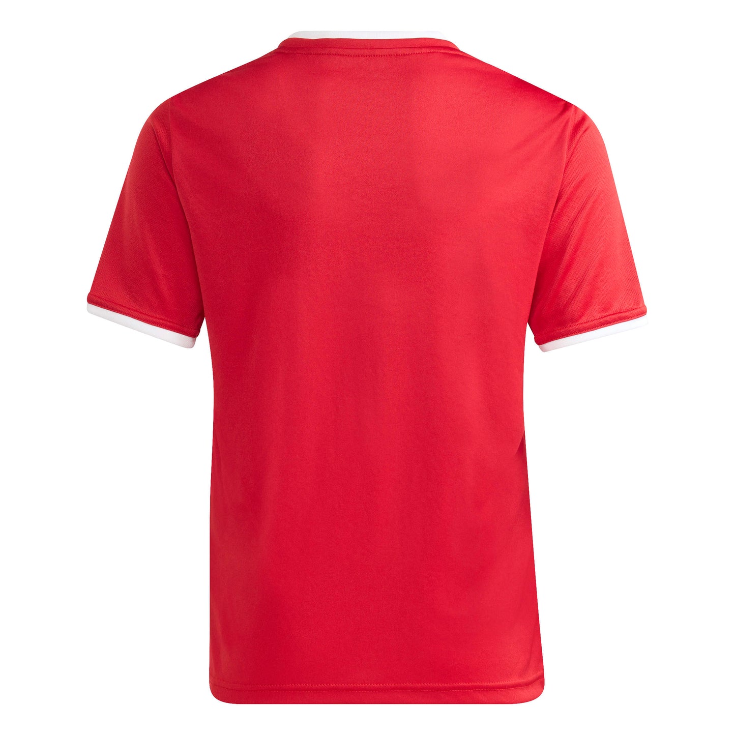 Team Power Red 2/White