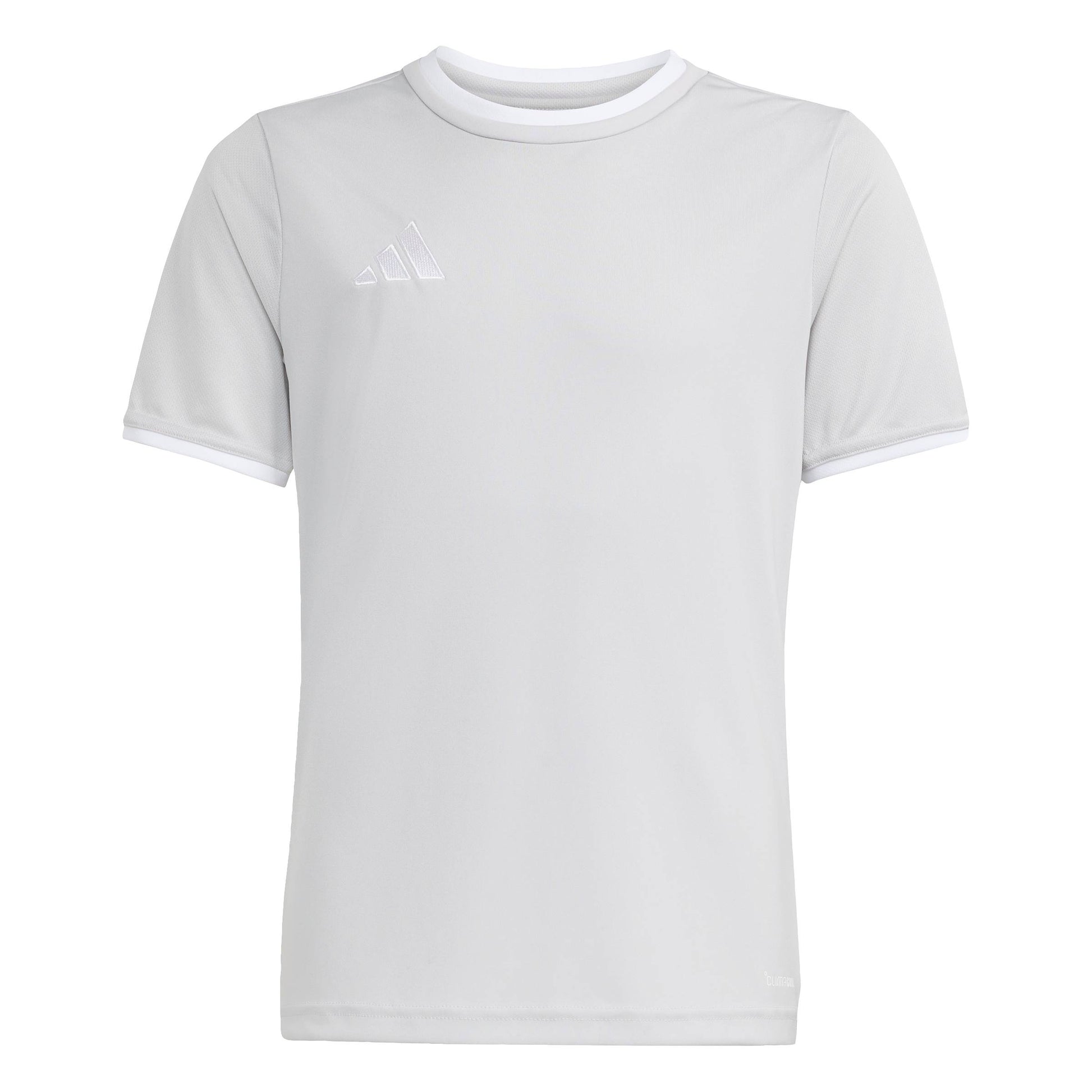 Team Light Grey/White