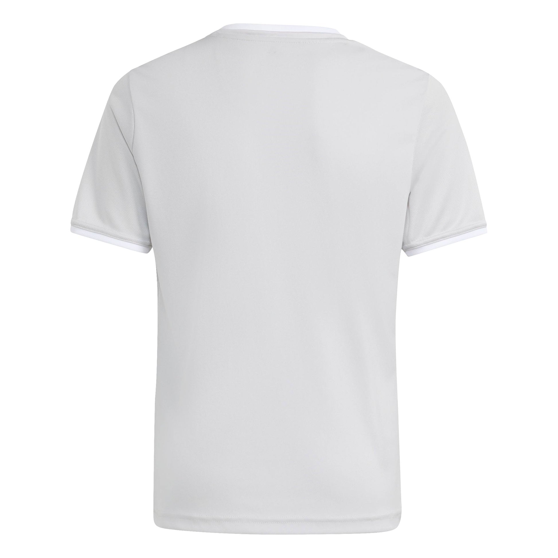 Team Light Grey/White