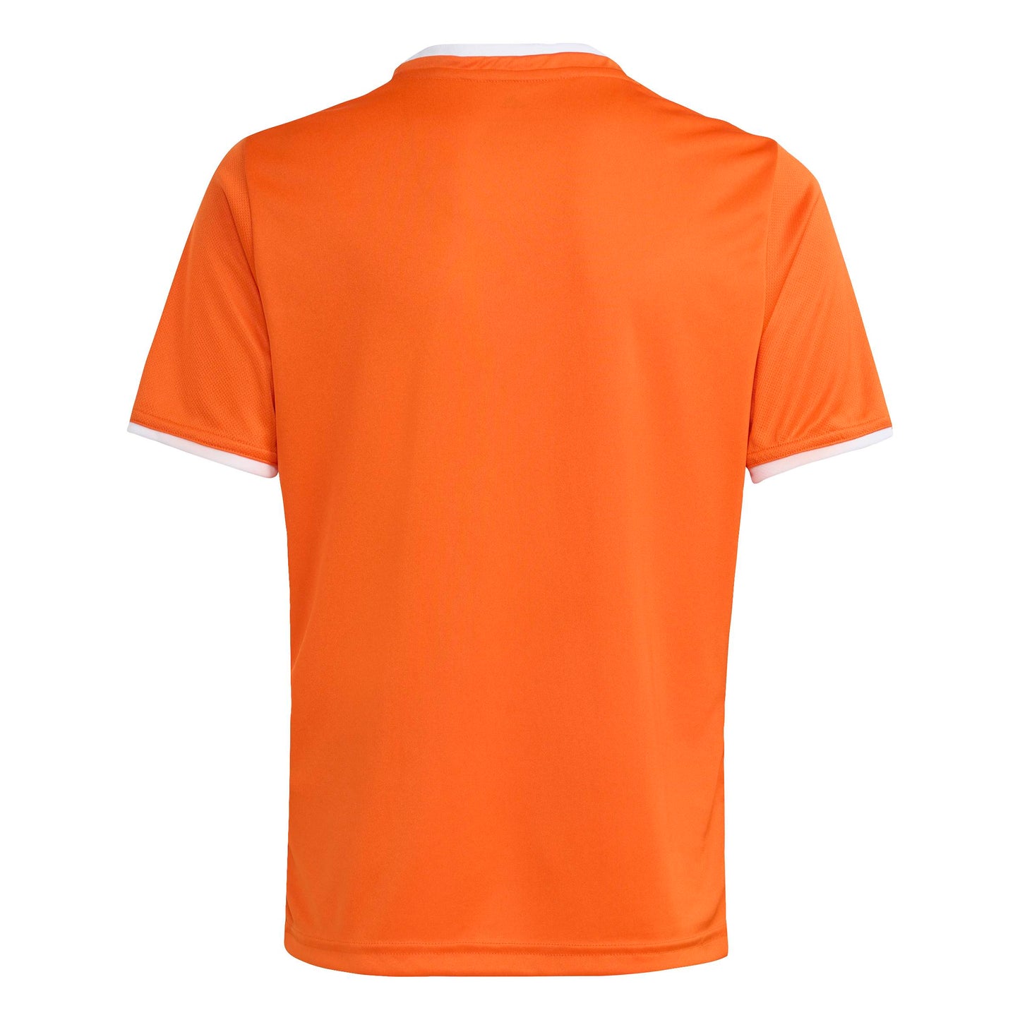 Team Orange/White