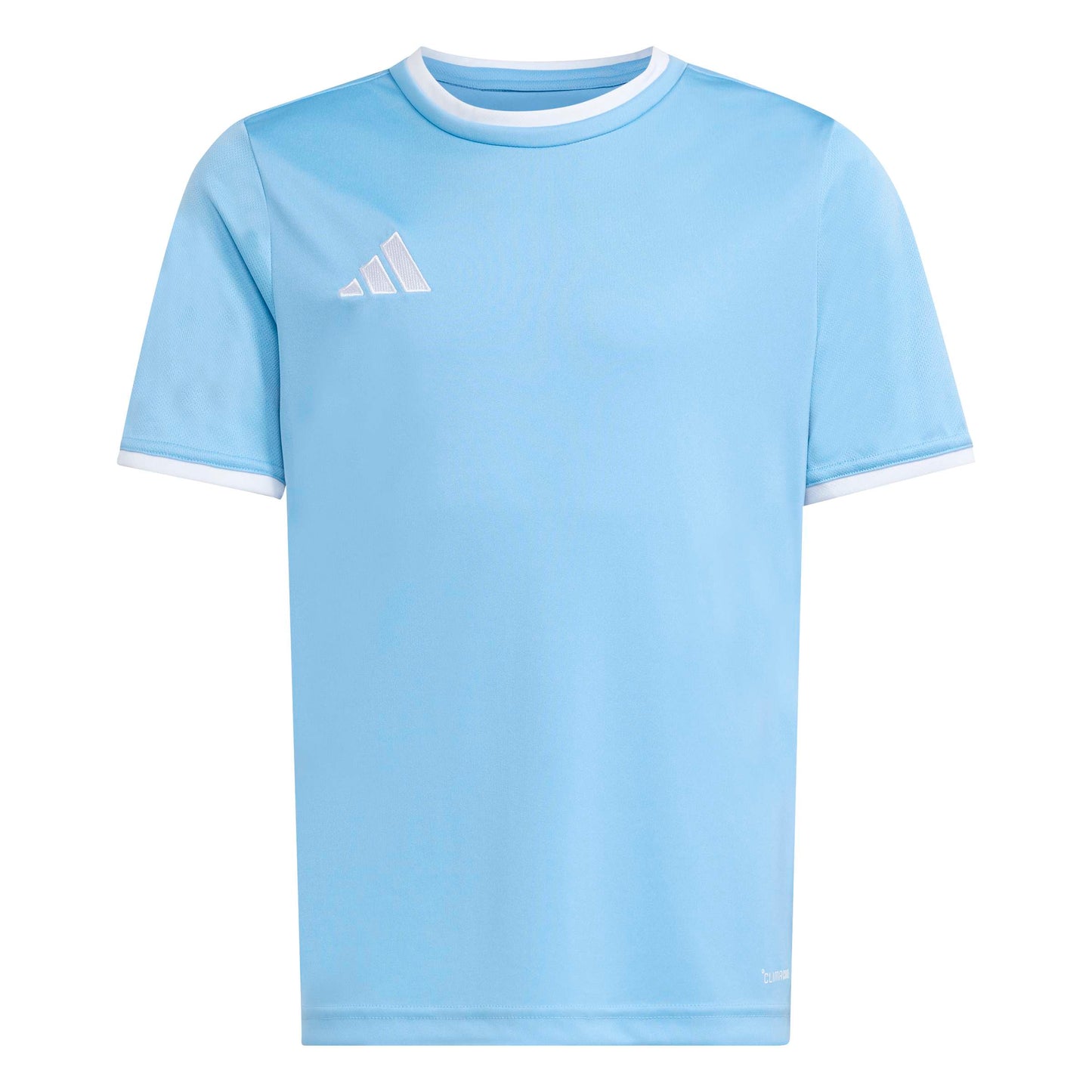 Team Light Blue/White