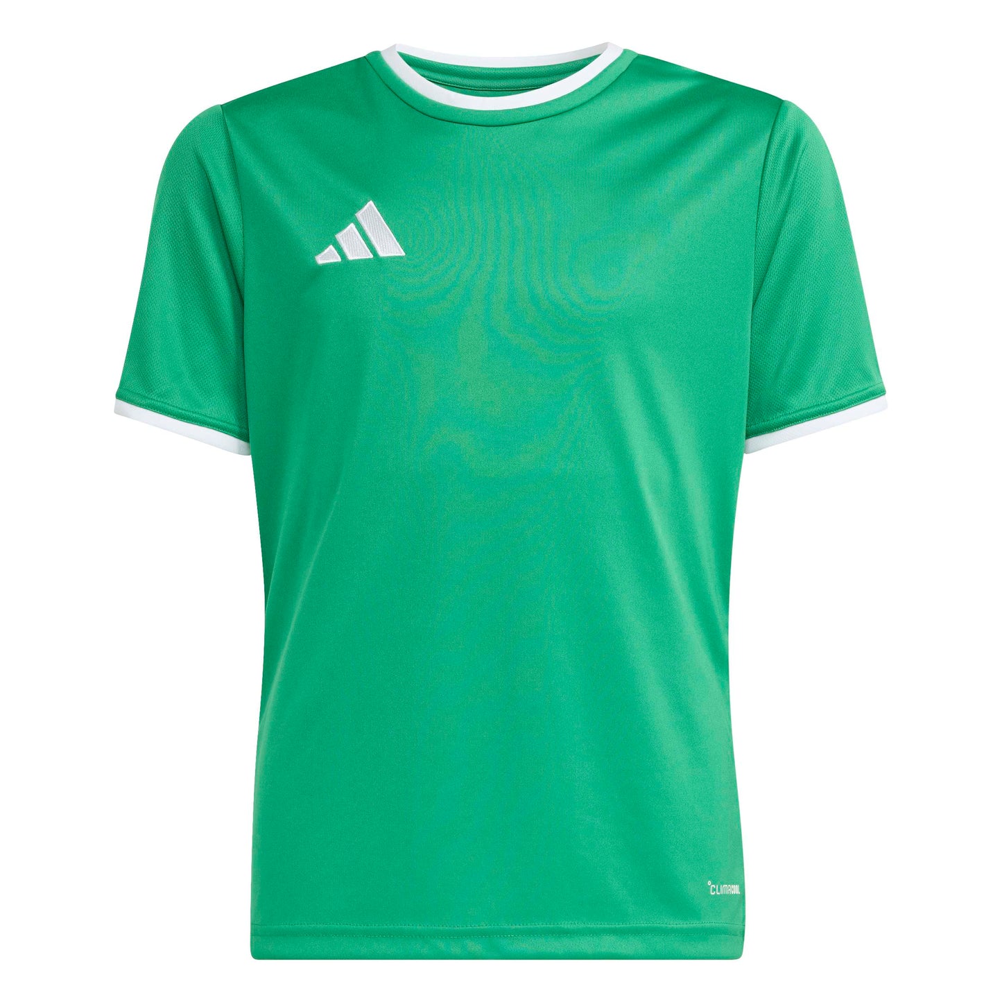 Team Green/White