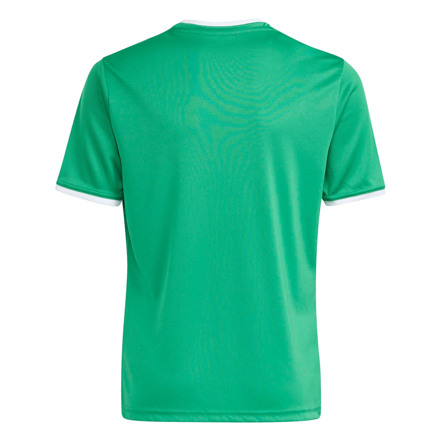Team Green/White