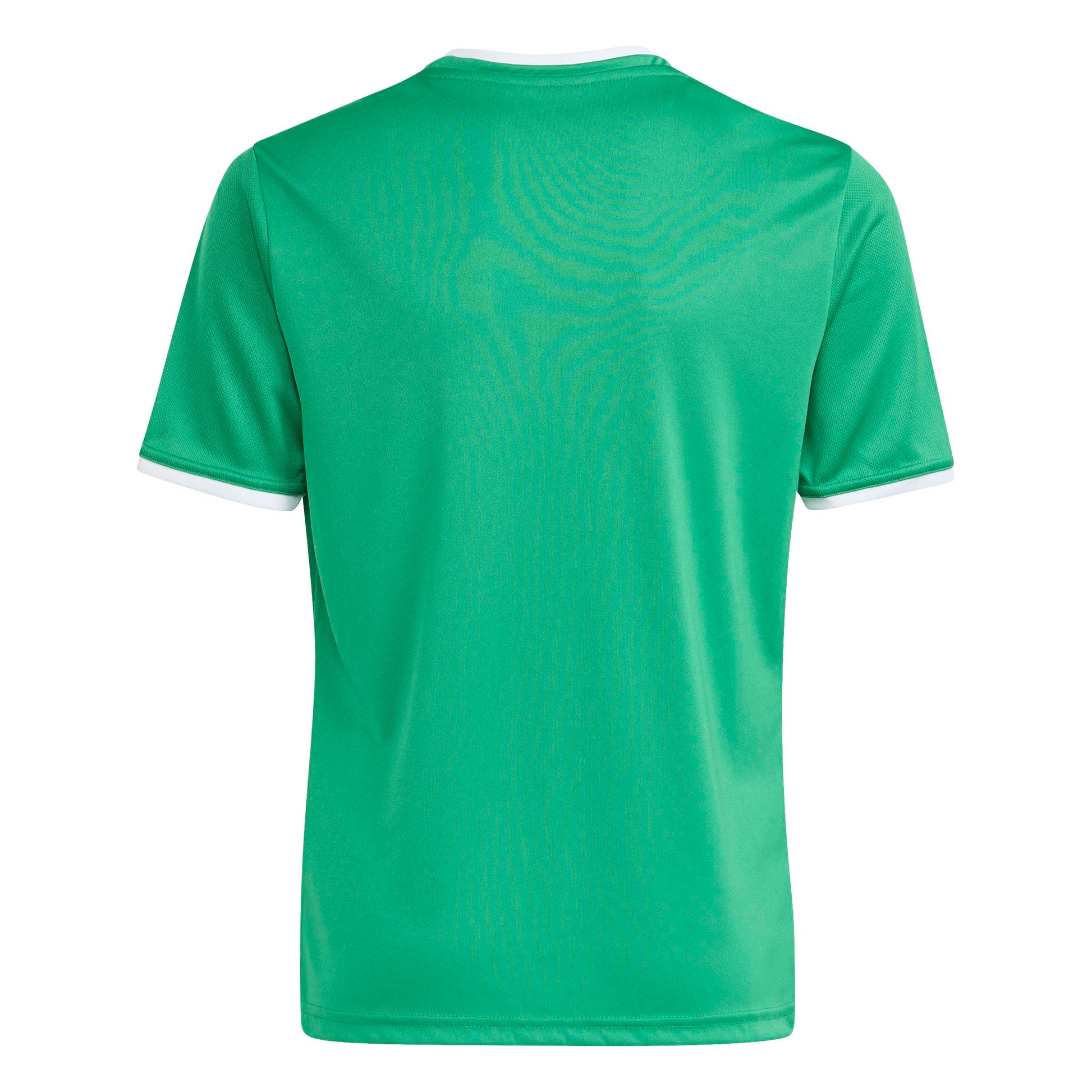 Team Green/White