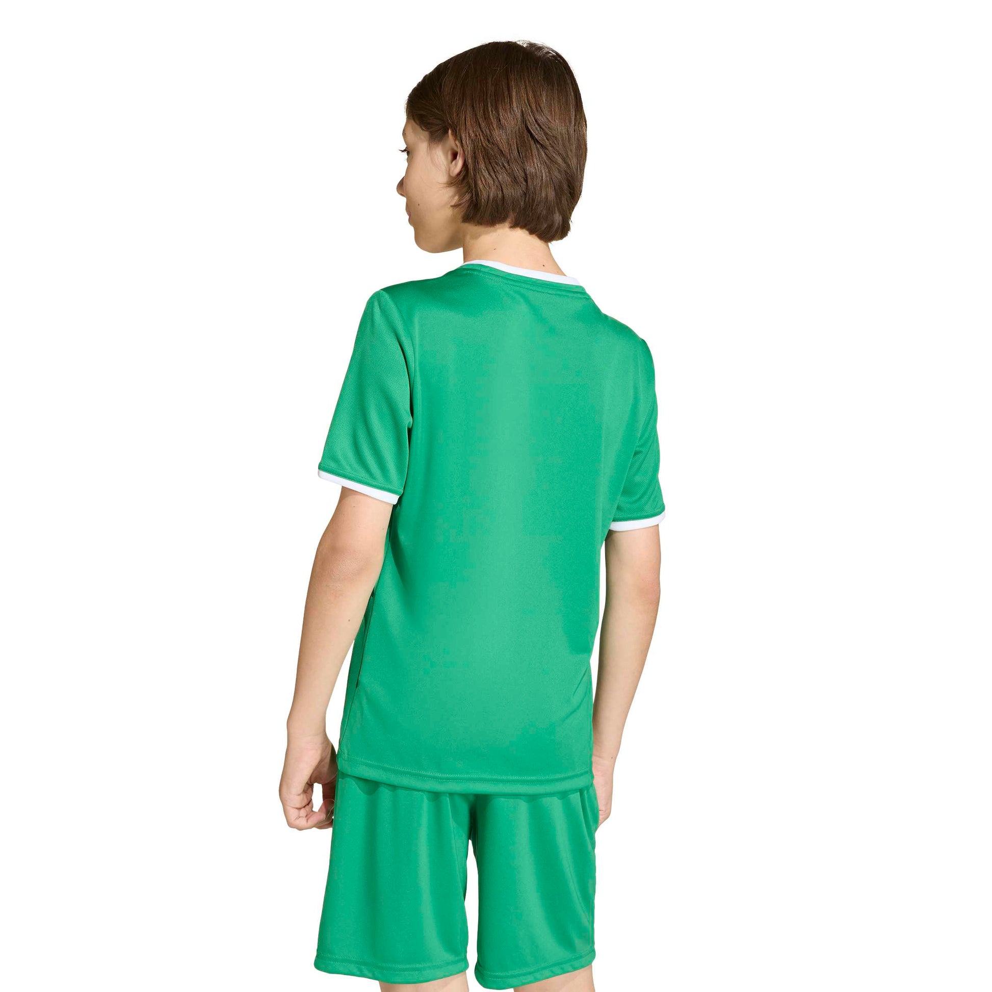 Team Green/White