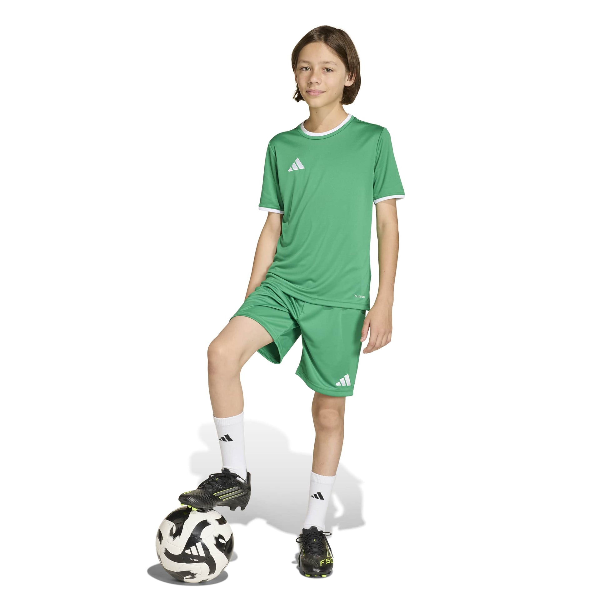 Team Green/White