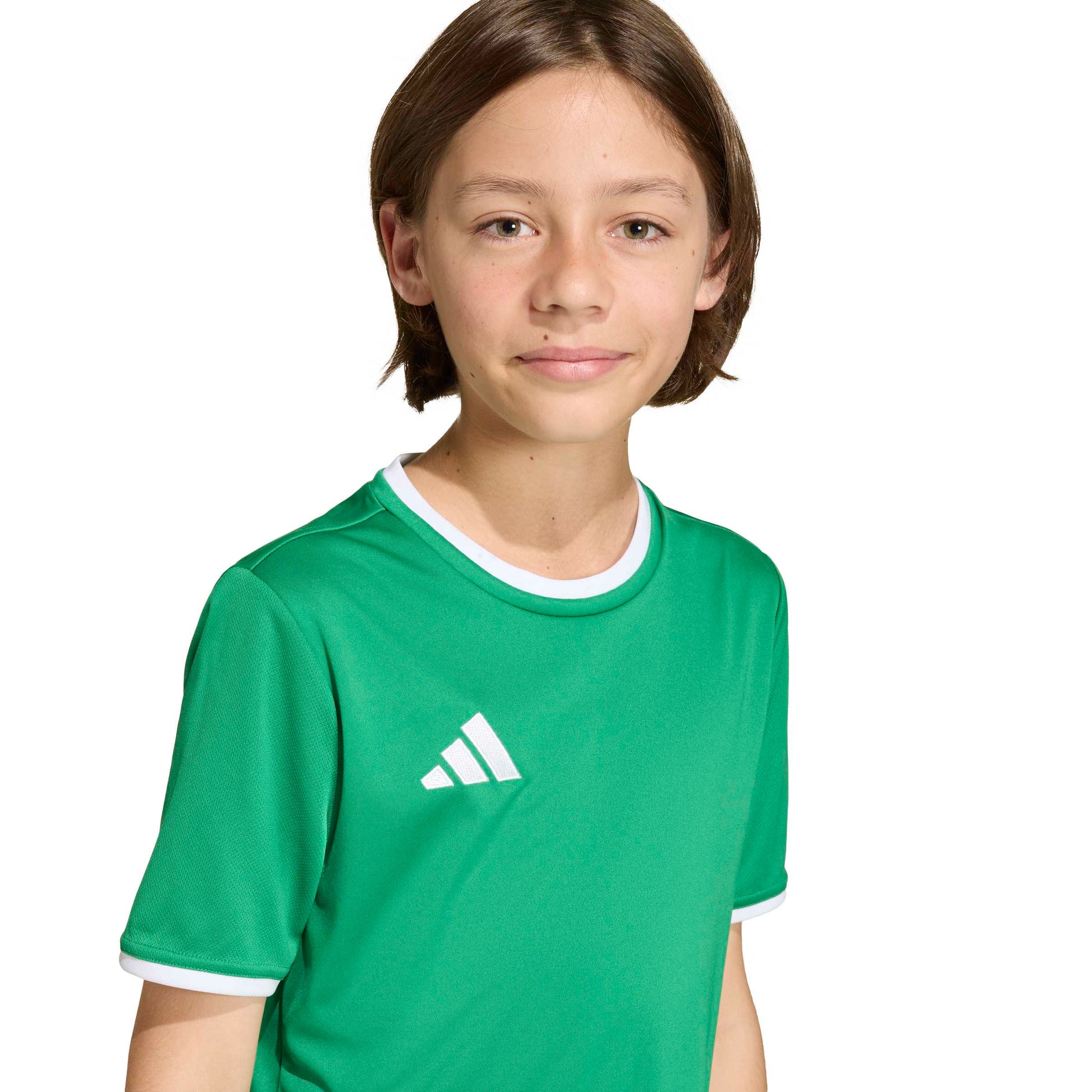 Team Green/White