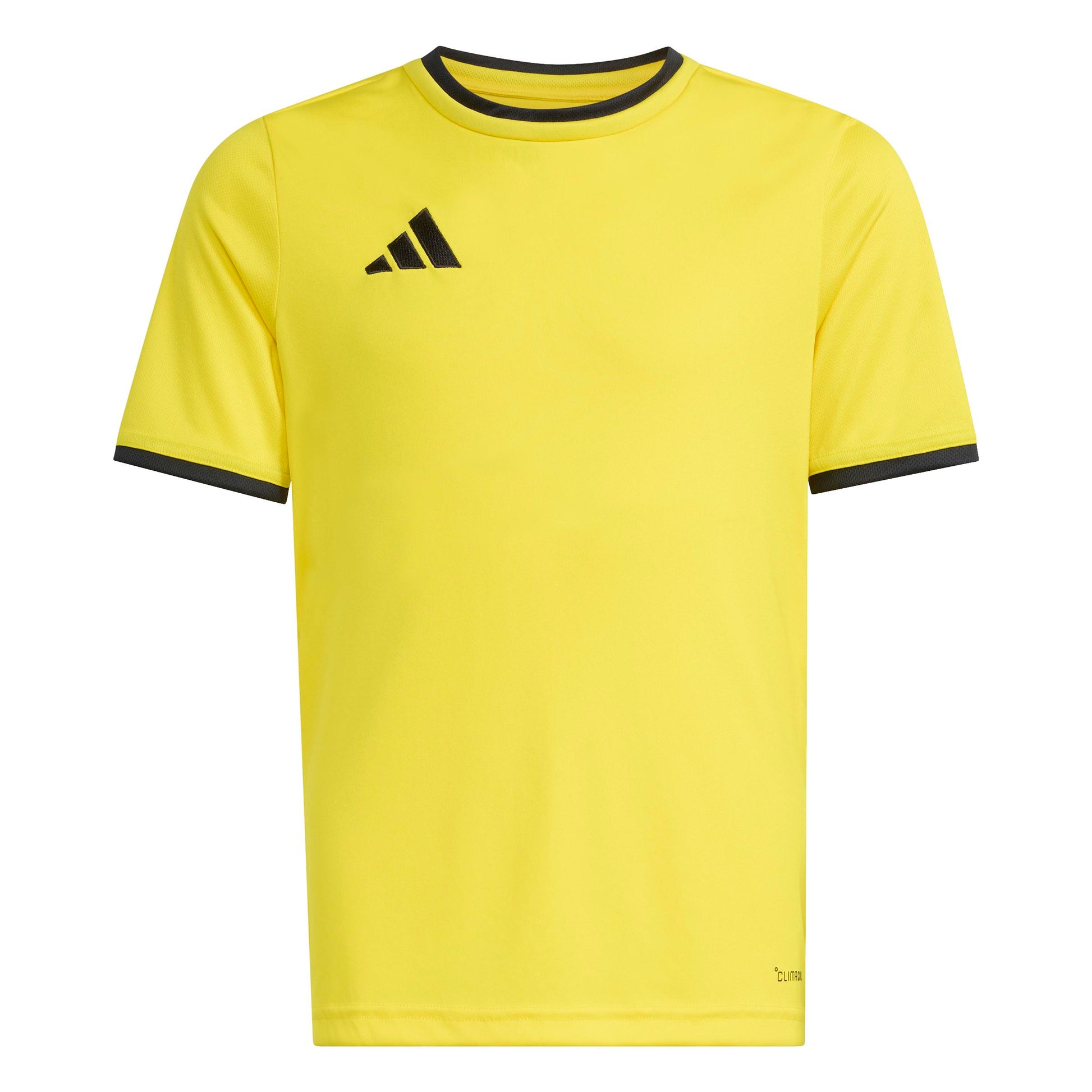 Team Yellow/Black