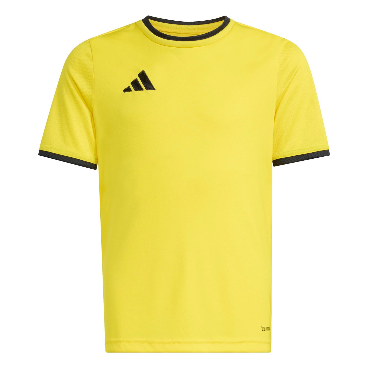 Team Yellow/Black