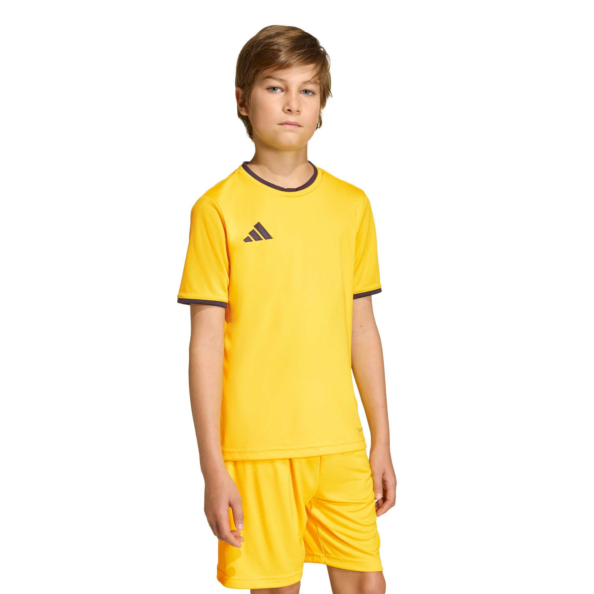 Team Yellow/Black